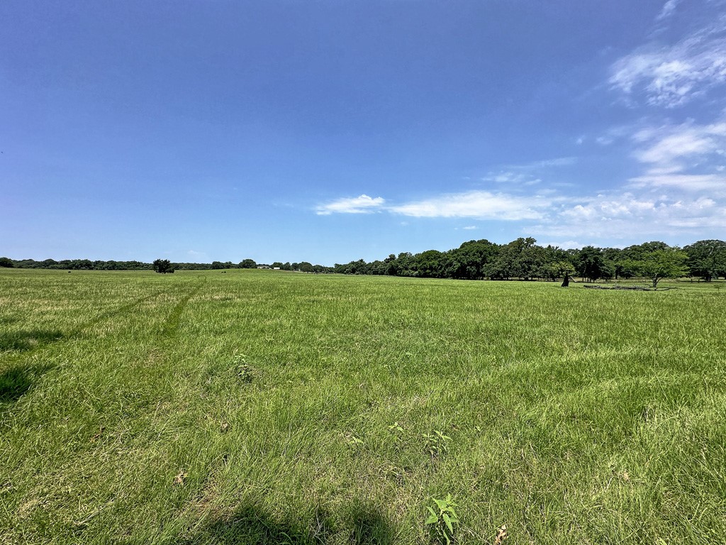 Tbd Cr-1127 Athens TX 75751