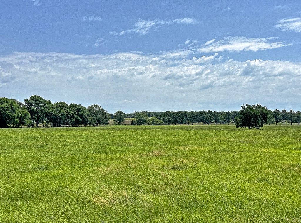 Tbd Cr-1127 Athens TX 75751