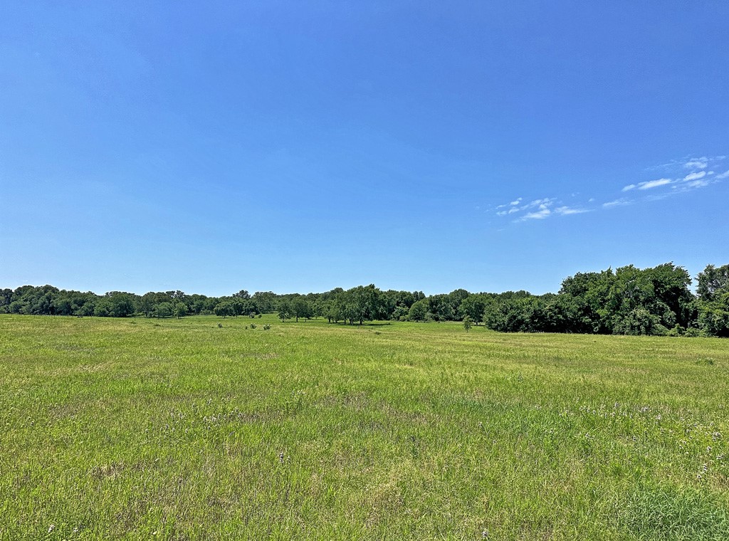 Tbd Cr-1127 Athens TX 75751
