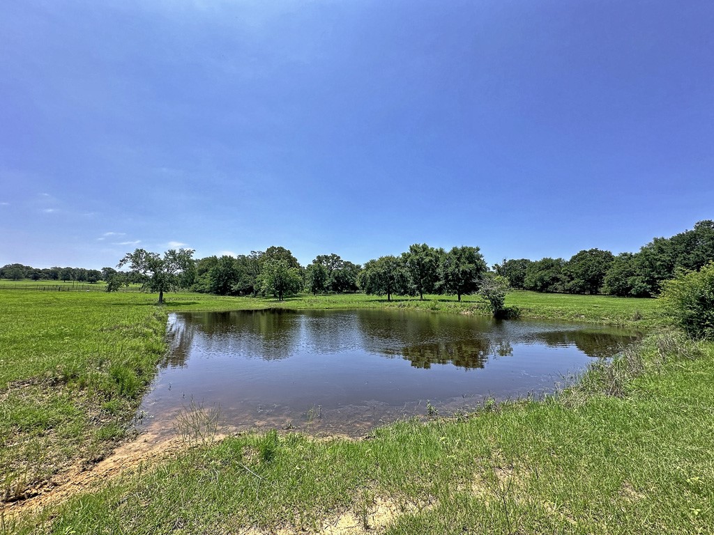 Tbd Cr-1127 Athens TX 75751