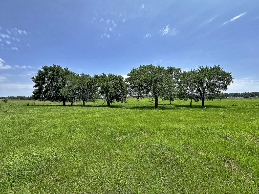 Tbd Cr-1127 Athens TX 75751