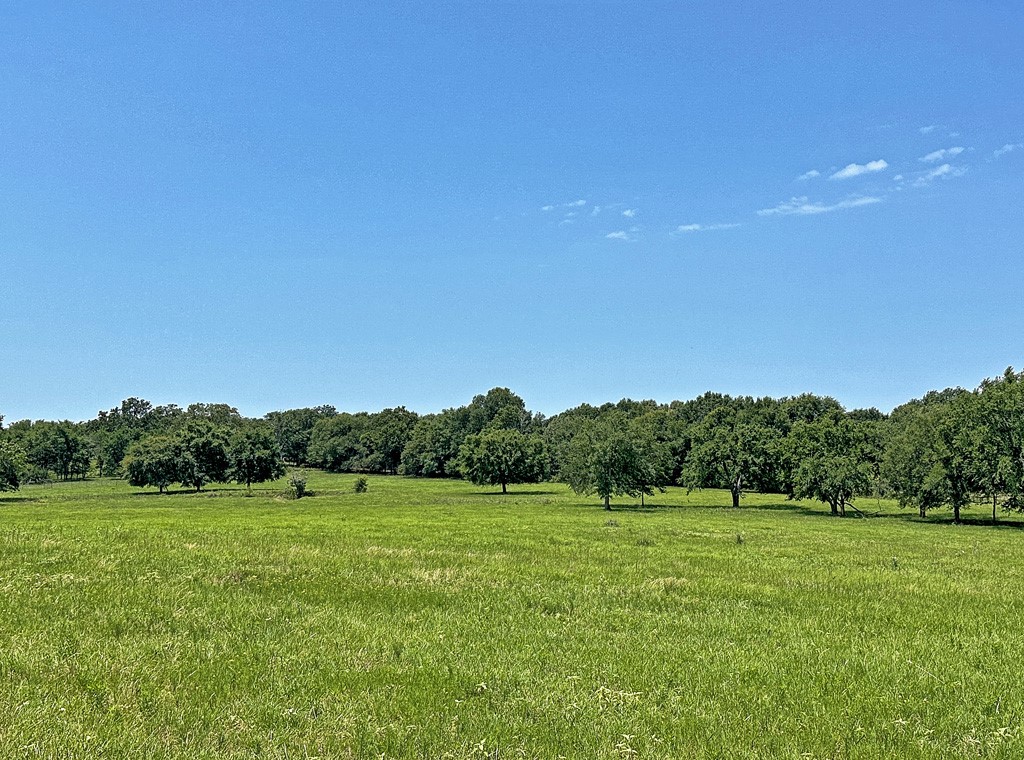 Tbd Cr-1127 Athens TX 75751