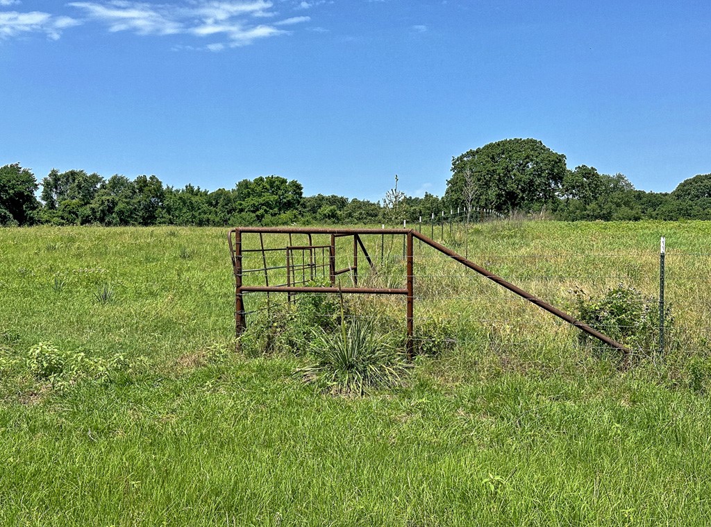 Tbd Cr-1127 Athens TX 75751