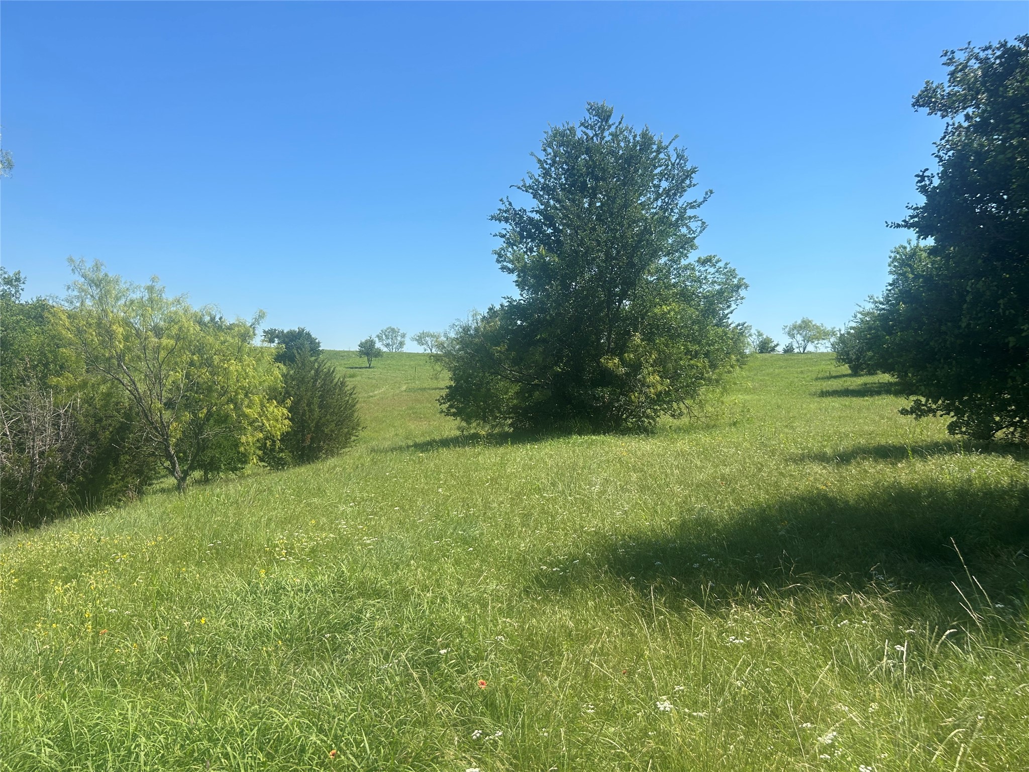 2027 Hidden Bluff Drive Aledo TX 76008