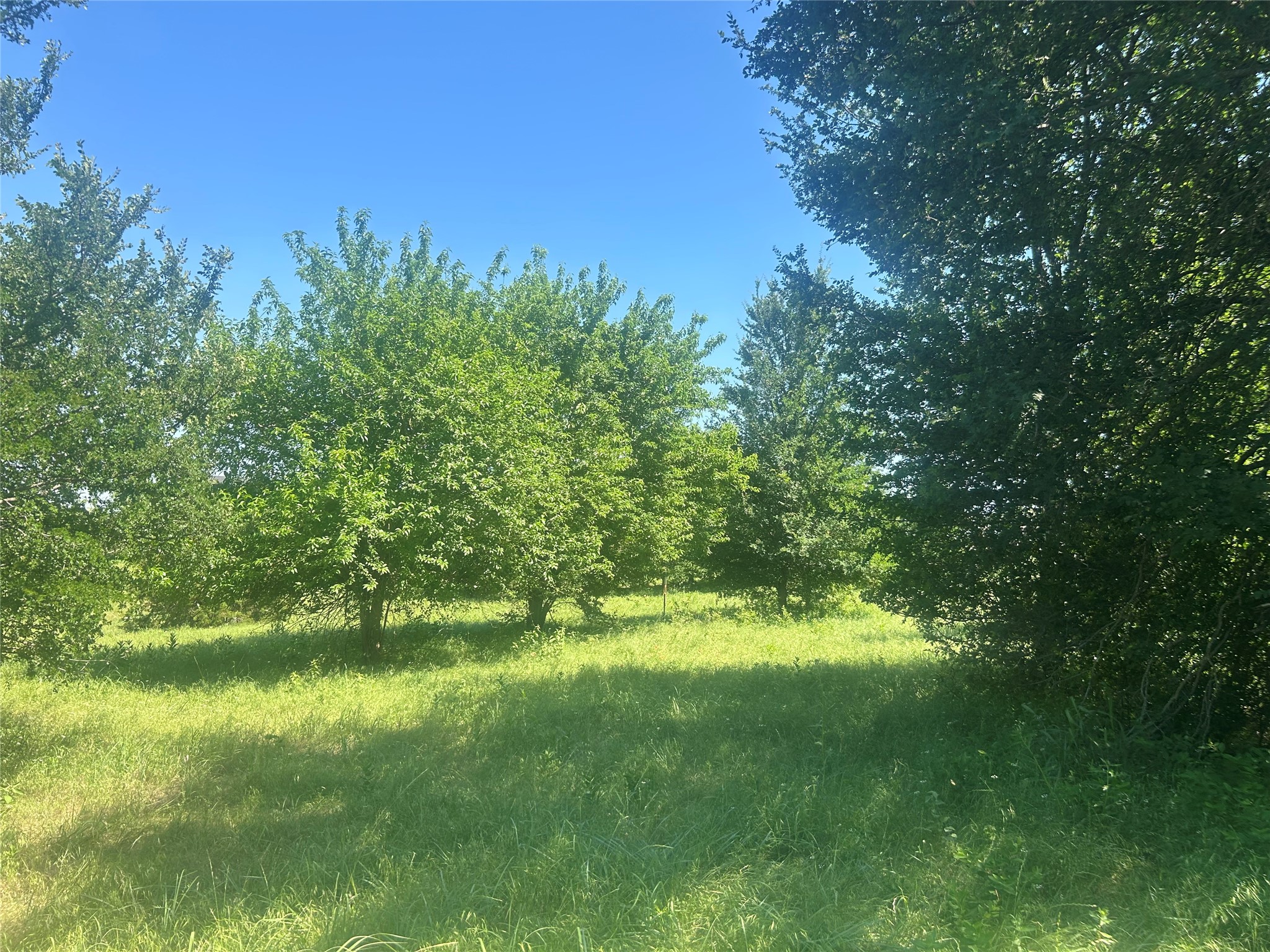 2027 Hidden Bluff Drive Aledo TX 76008