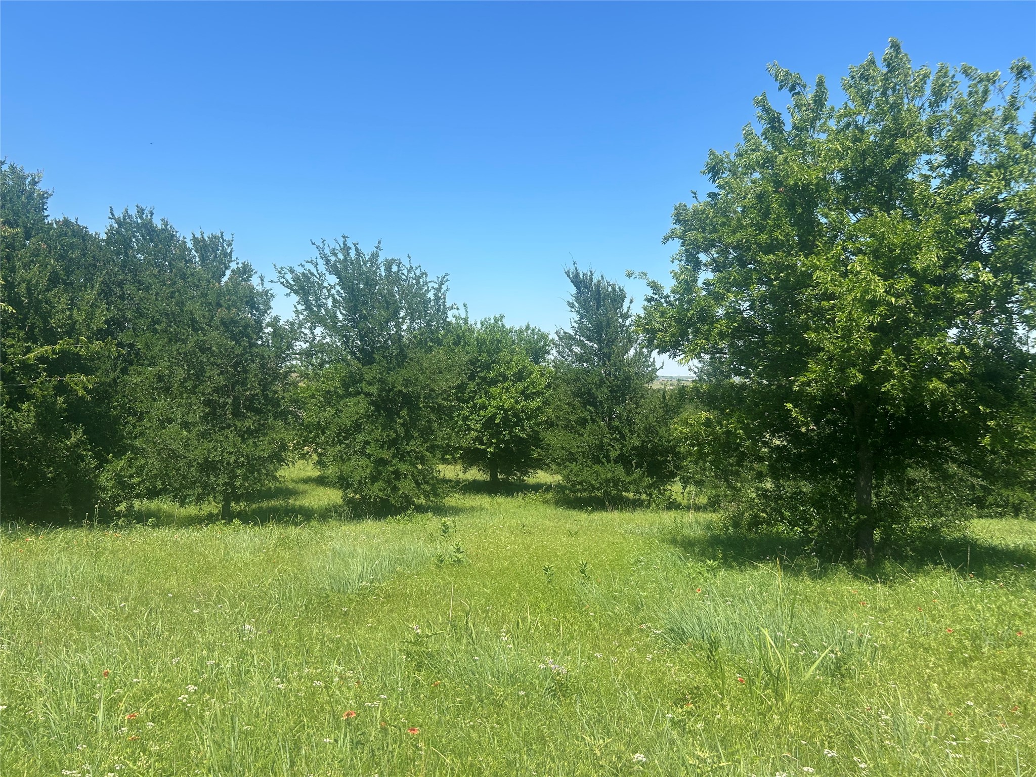 2027 Hidden Bluff Drive Aledo TX 76008