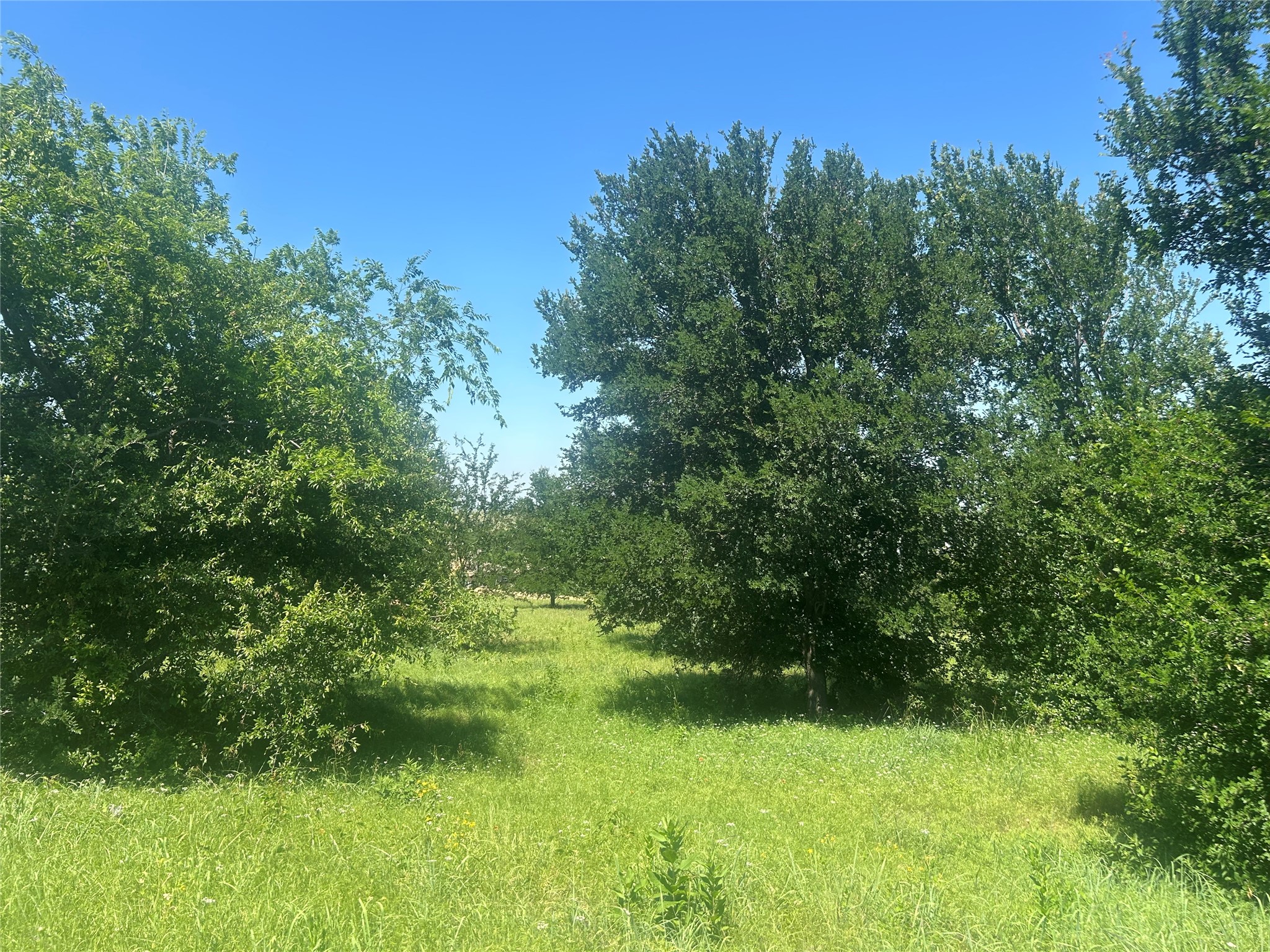 2027 Hidden Bluff Drive Aledo TX 76008