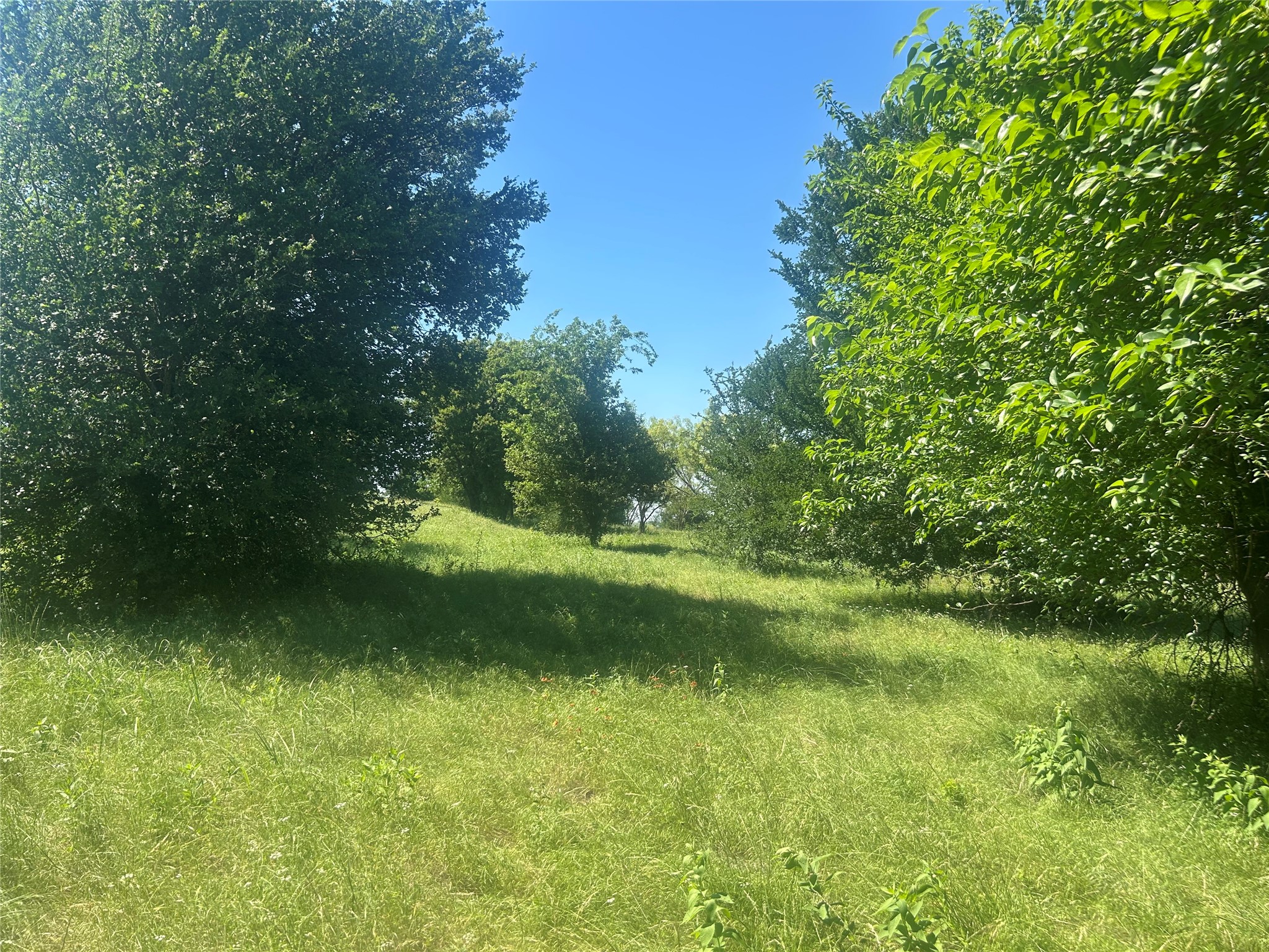 2027 Hidden Bluff Drive Aledo TX 76008