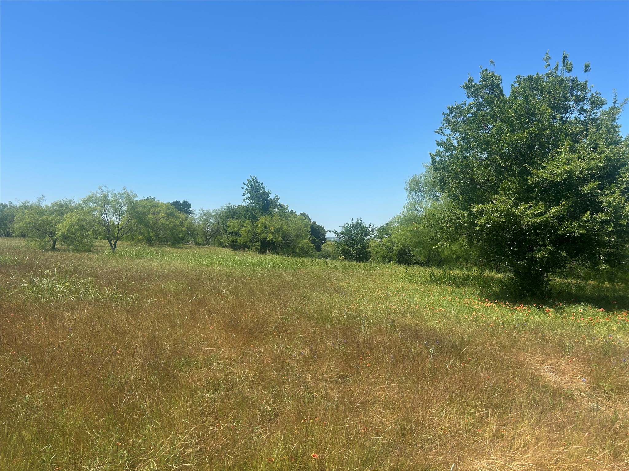 2027 Hidden Bluff Drive Aledo TX 76008