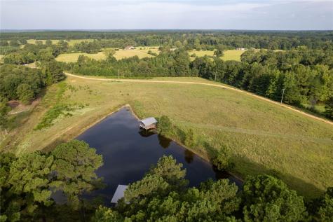 Lake Country (Lot 2 & 2a) Tx-77 Atlanta TX 75551