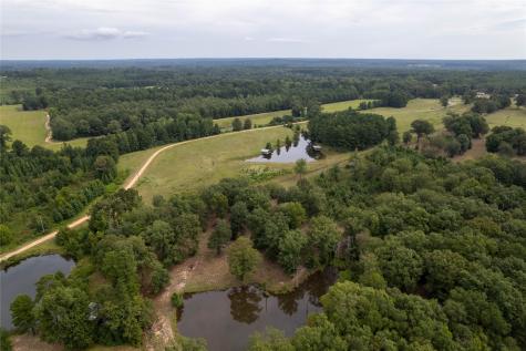 Lake Country (Lot 2 & 2a) Tx-77 Atlanta TX 75551