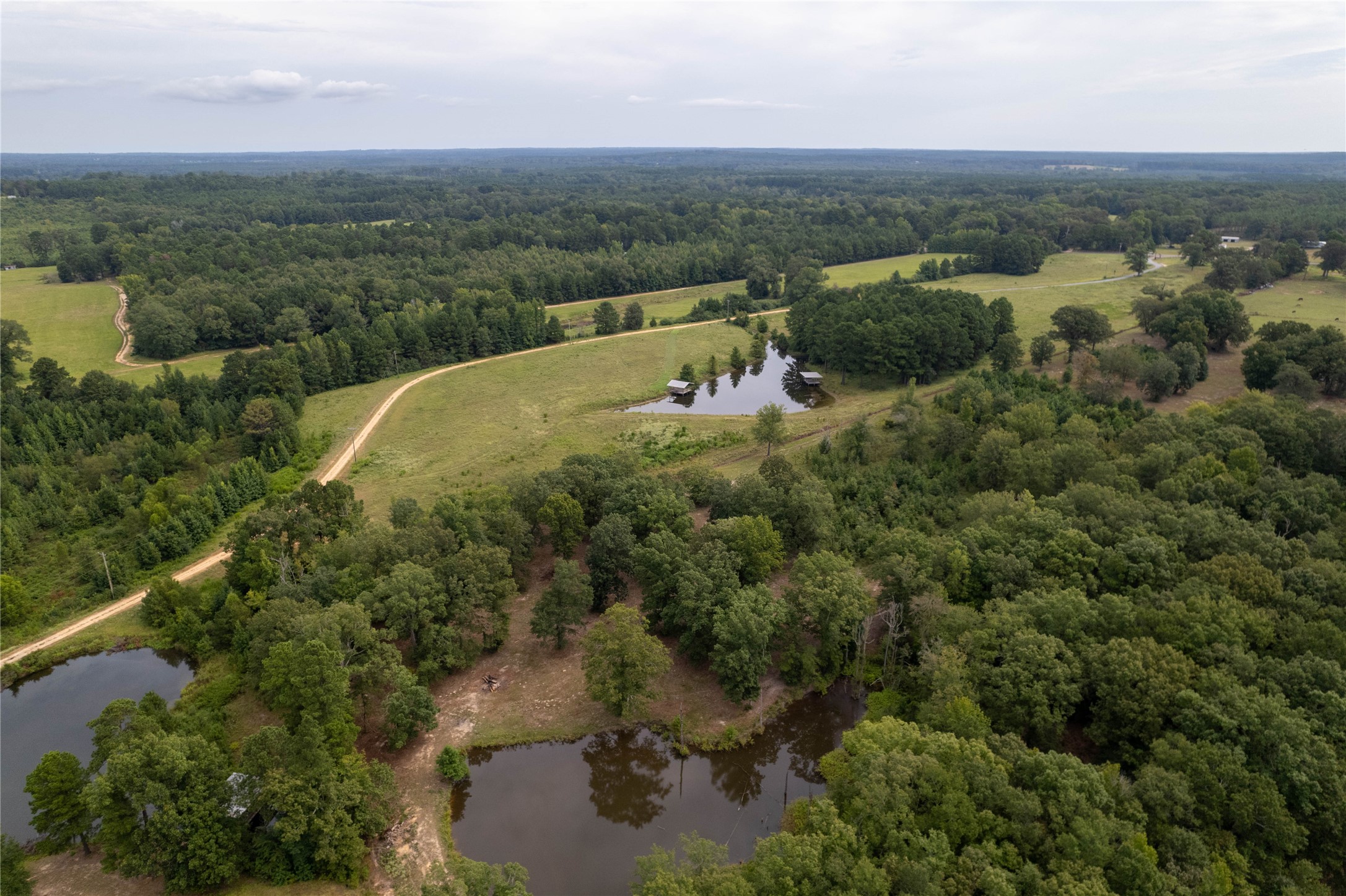 Lake Country (Lot 2 & 2a) Tx-77 Atlanta TX 75551