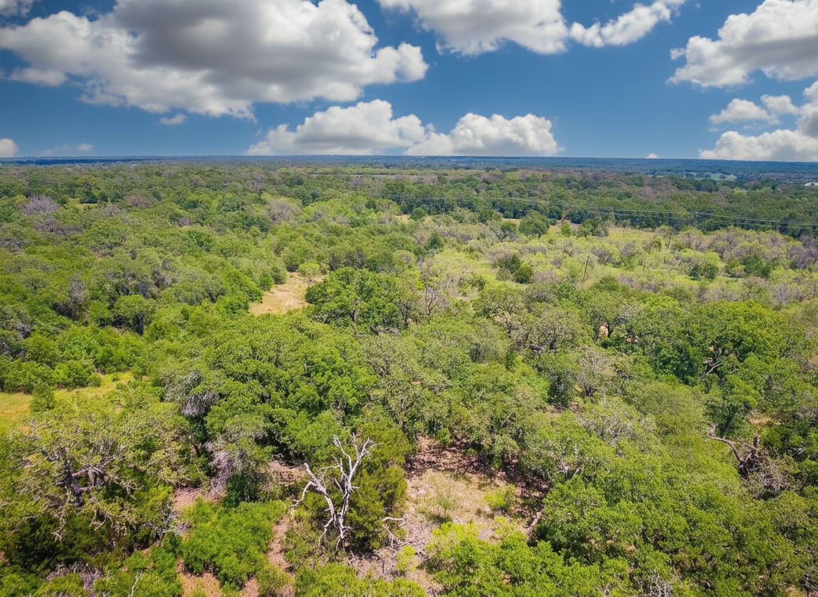 1096 County Road 345 Ranger TX 76470
