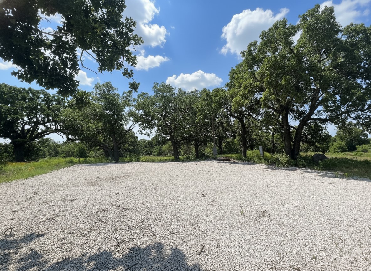 1096 County Road 345 Ranger TX 76470