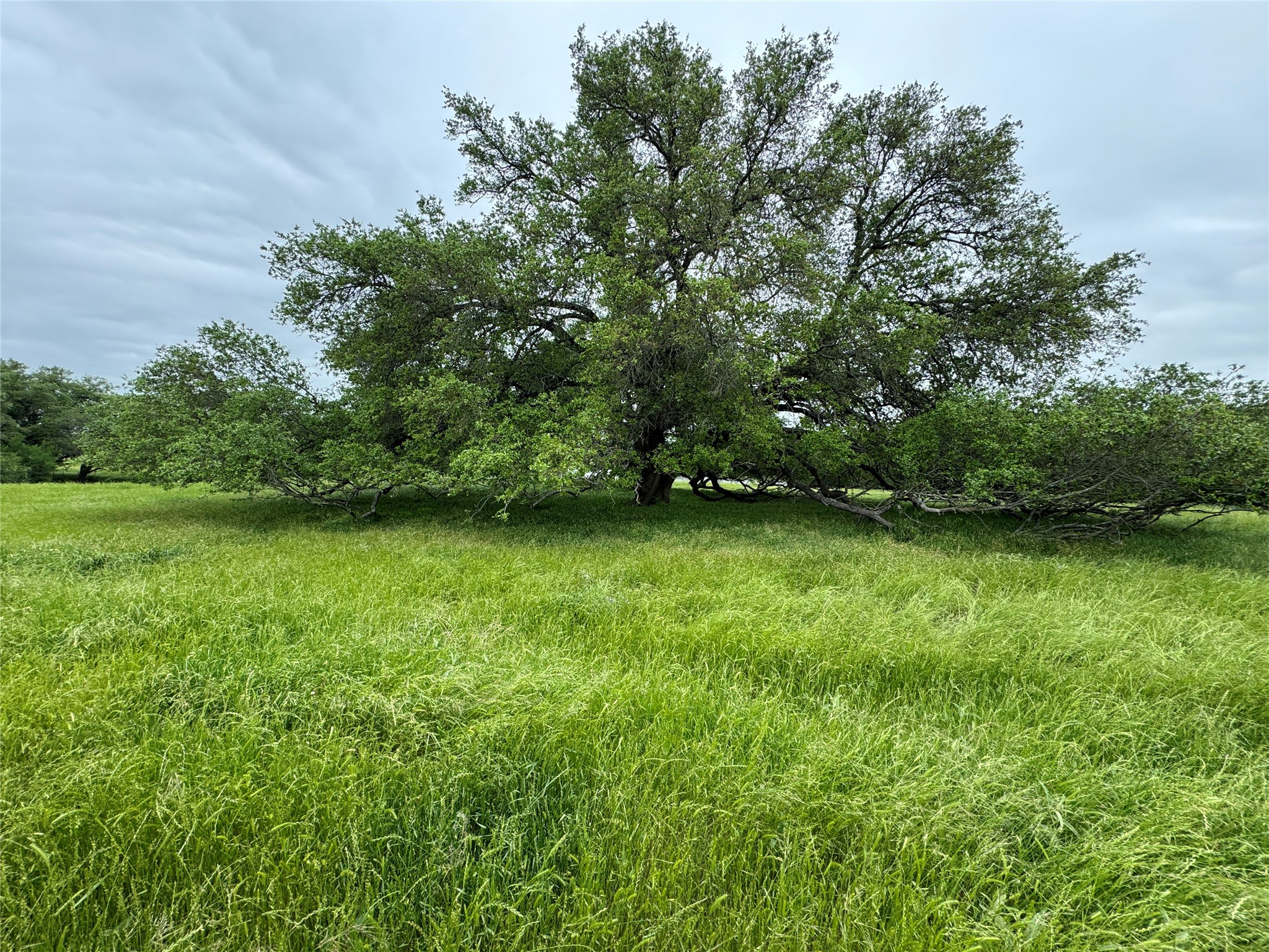 395-452 County Road 470 Chilton TX 76632