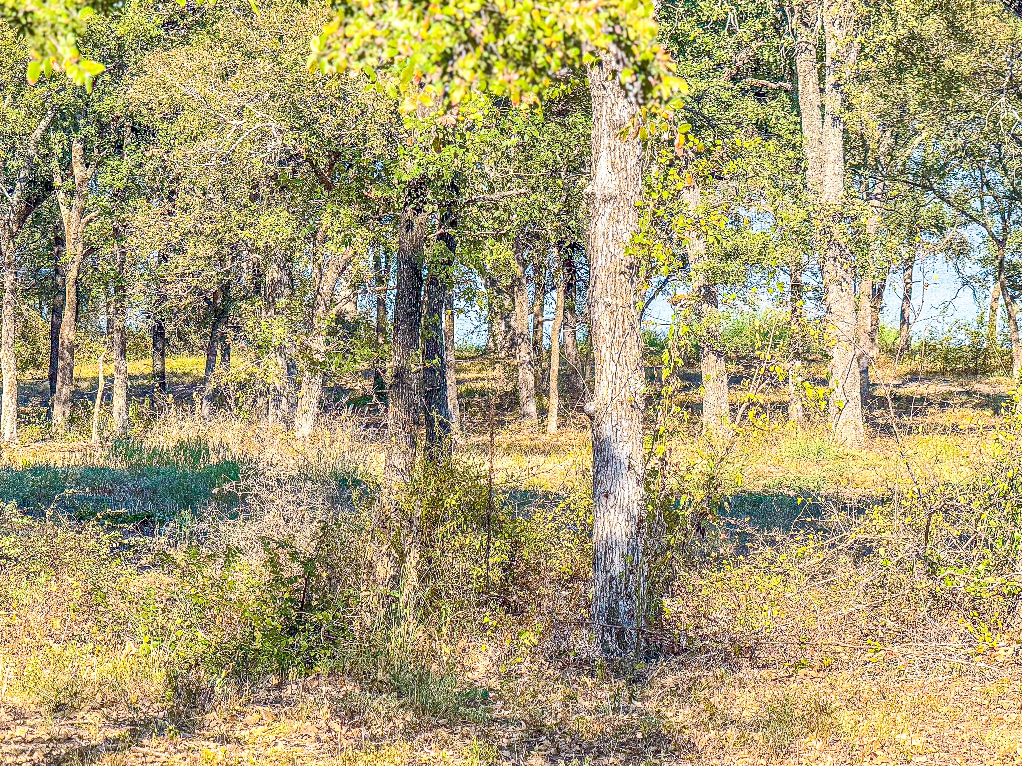 Lot 4 Bordeaux Lane Corsicana TX 75109