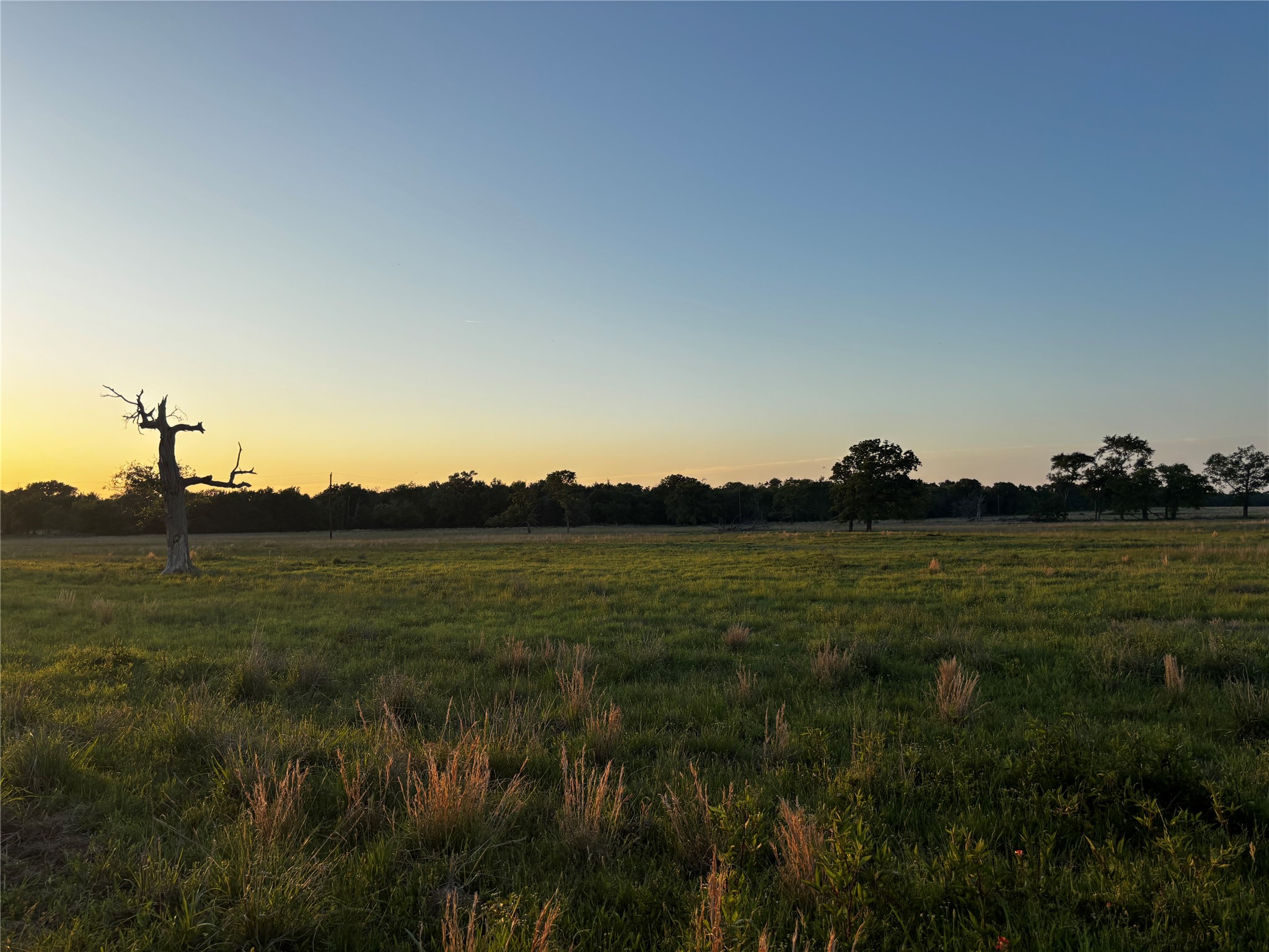 2852 W 243 Highway W Canton TX 75103