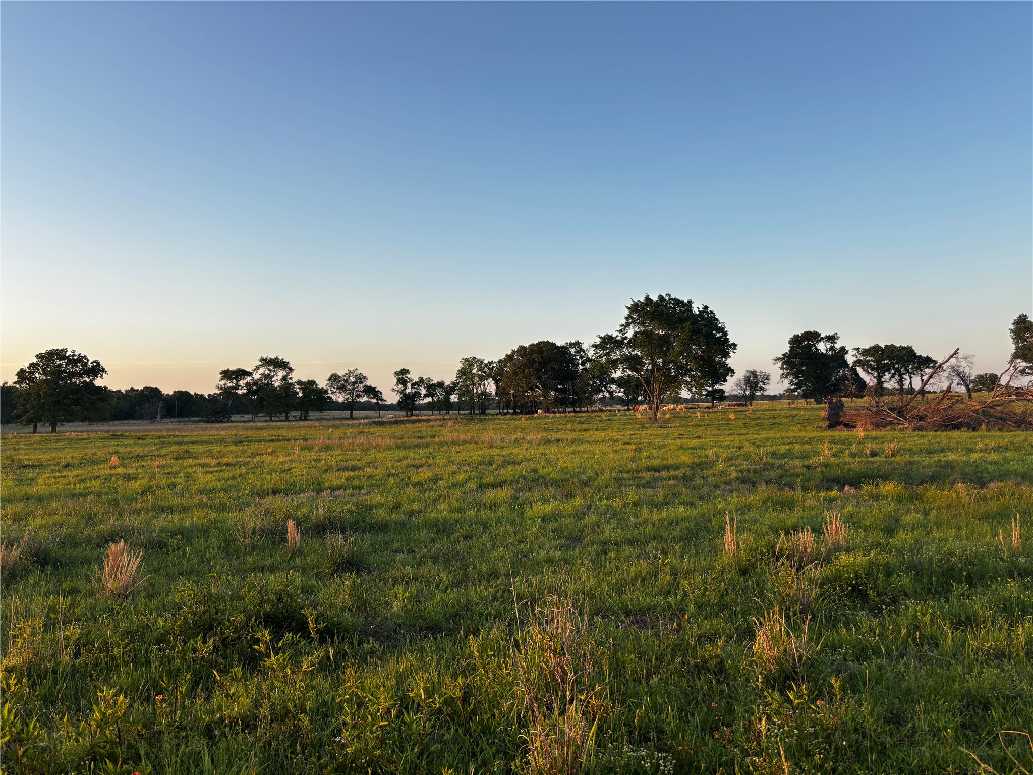 2852 W 243 Highway W Canton TX 75103