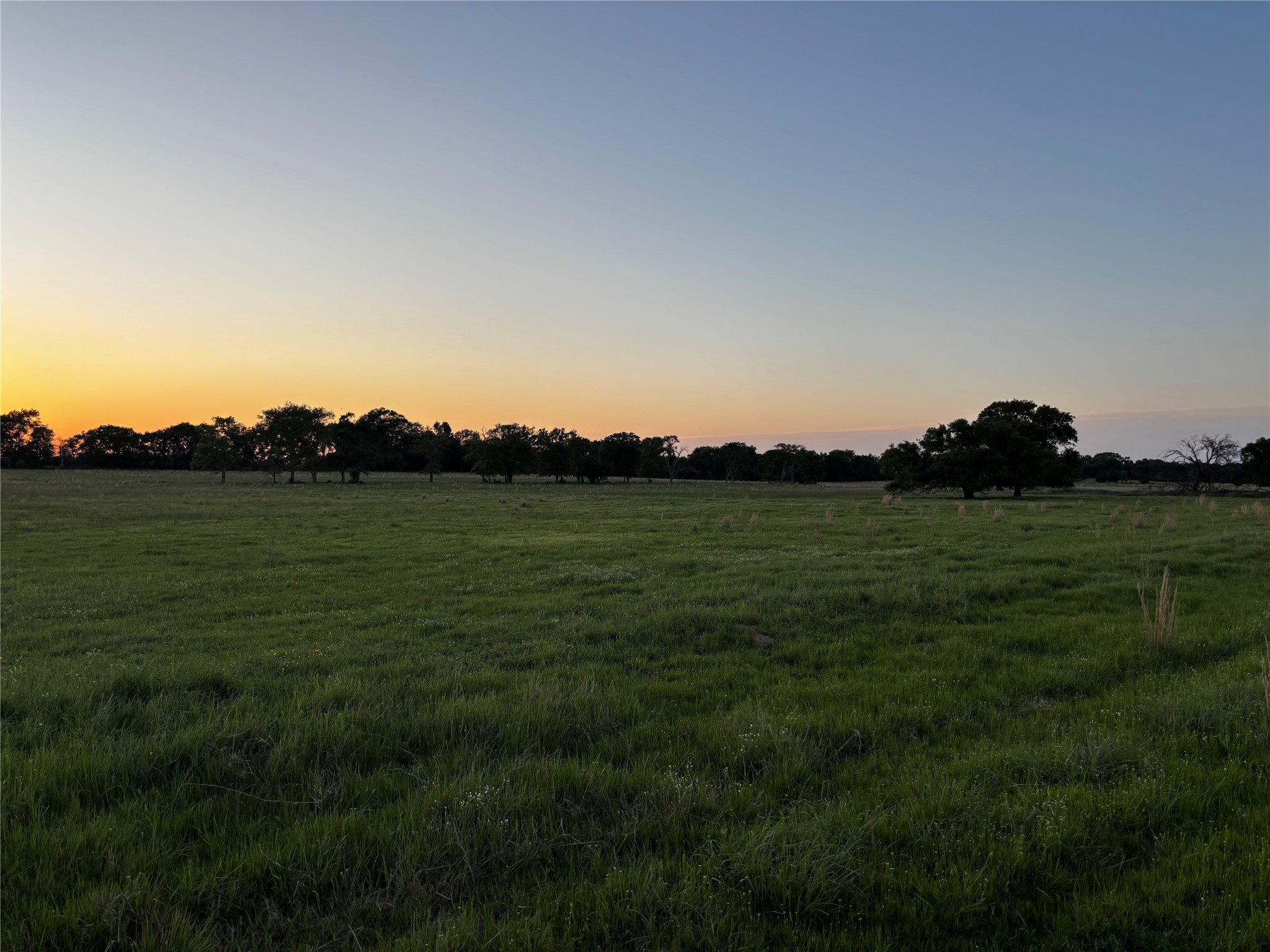 2852 W 243 Highway W Canton TX 75103
