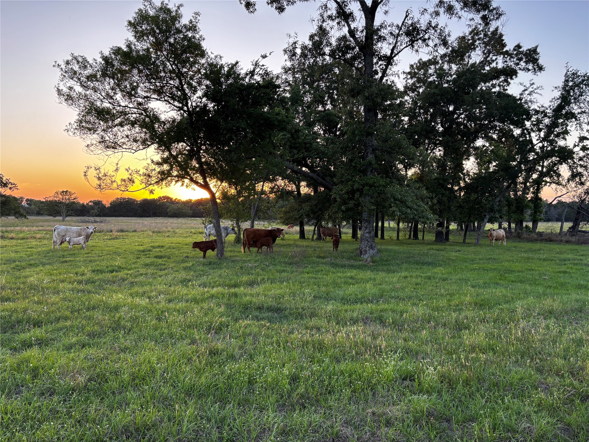 2852 W 243 Highway W Canton TX 75103