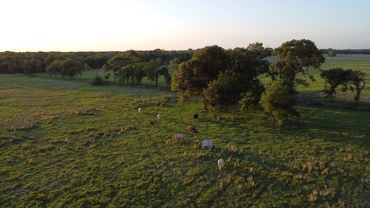 2852 W 243 Highway W Canton TX 75103
