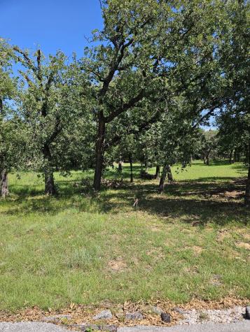 196 Johnston Lane Runaway Bay TX 76426
