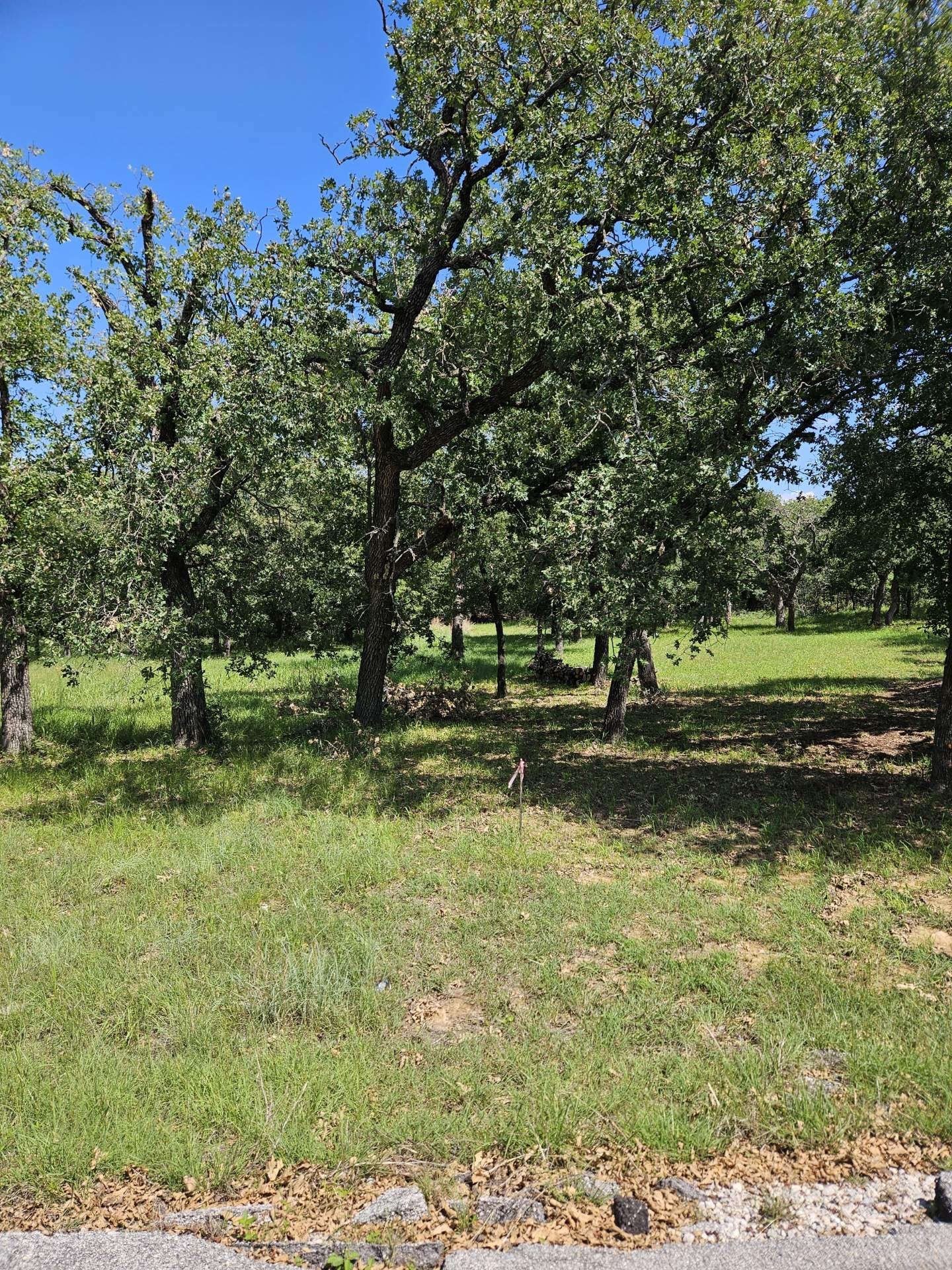 196 Johnston Lane Runaway Bay TX 76426
