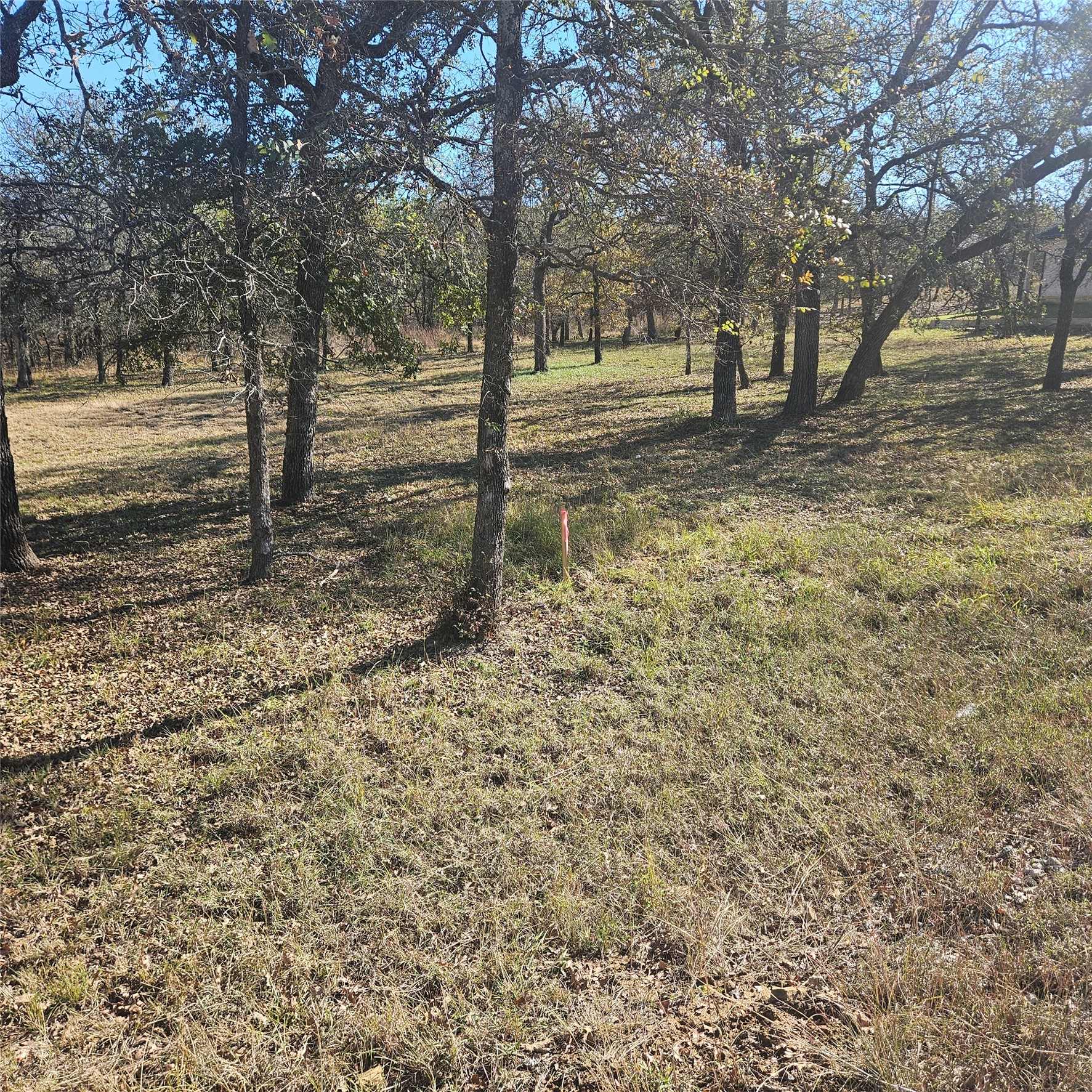 196 Johnston Lane Runaway Bay TX 76426