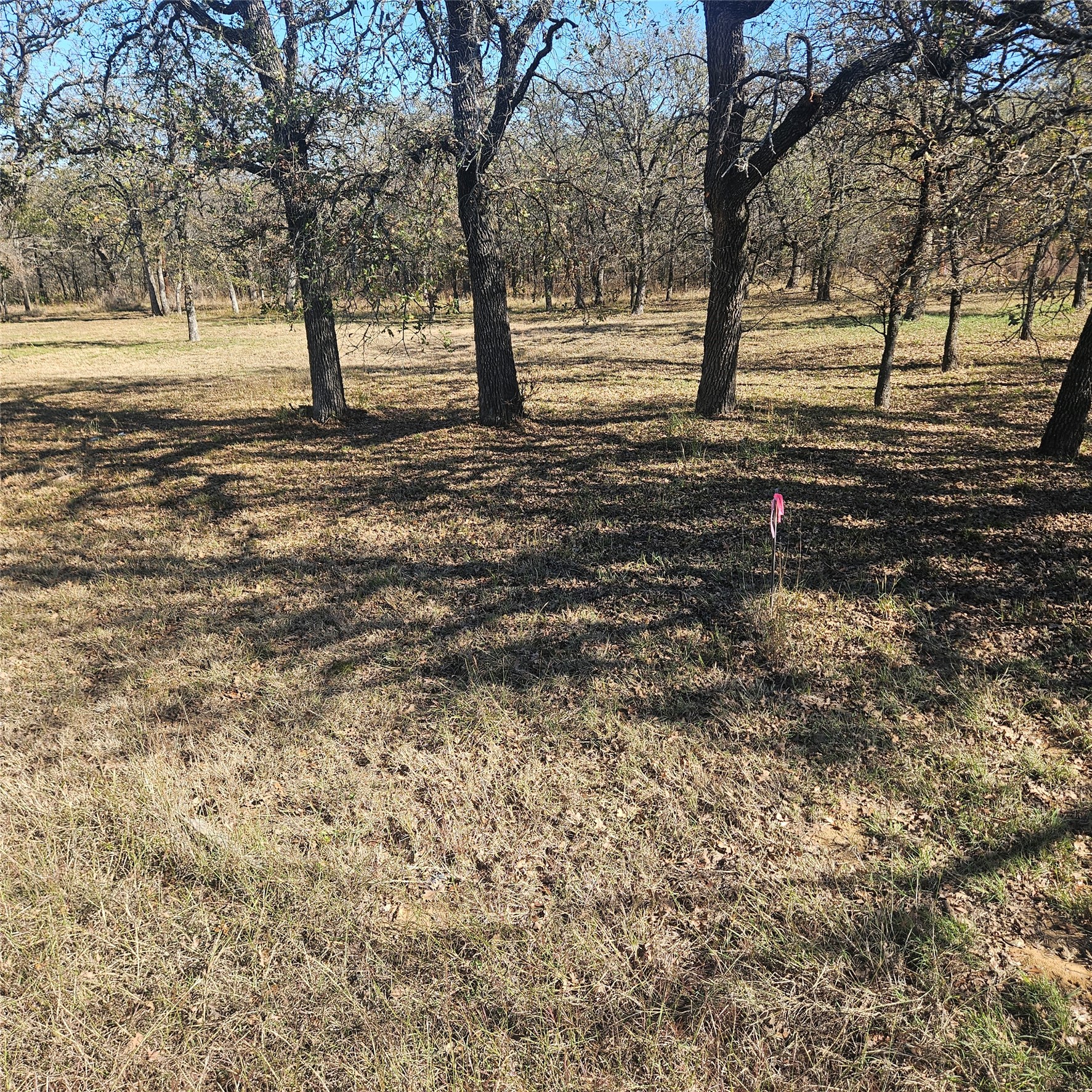 196 Johnston Lane Runaway Bay TX 76426