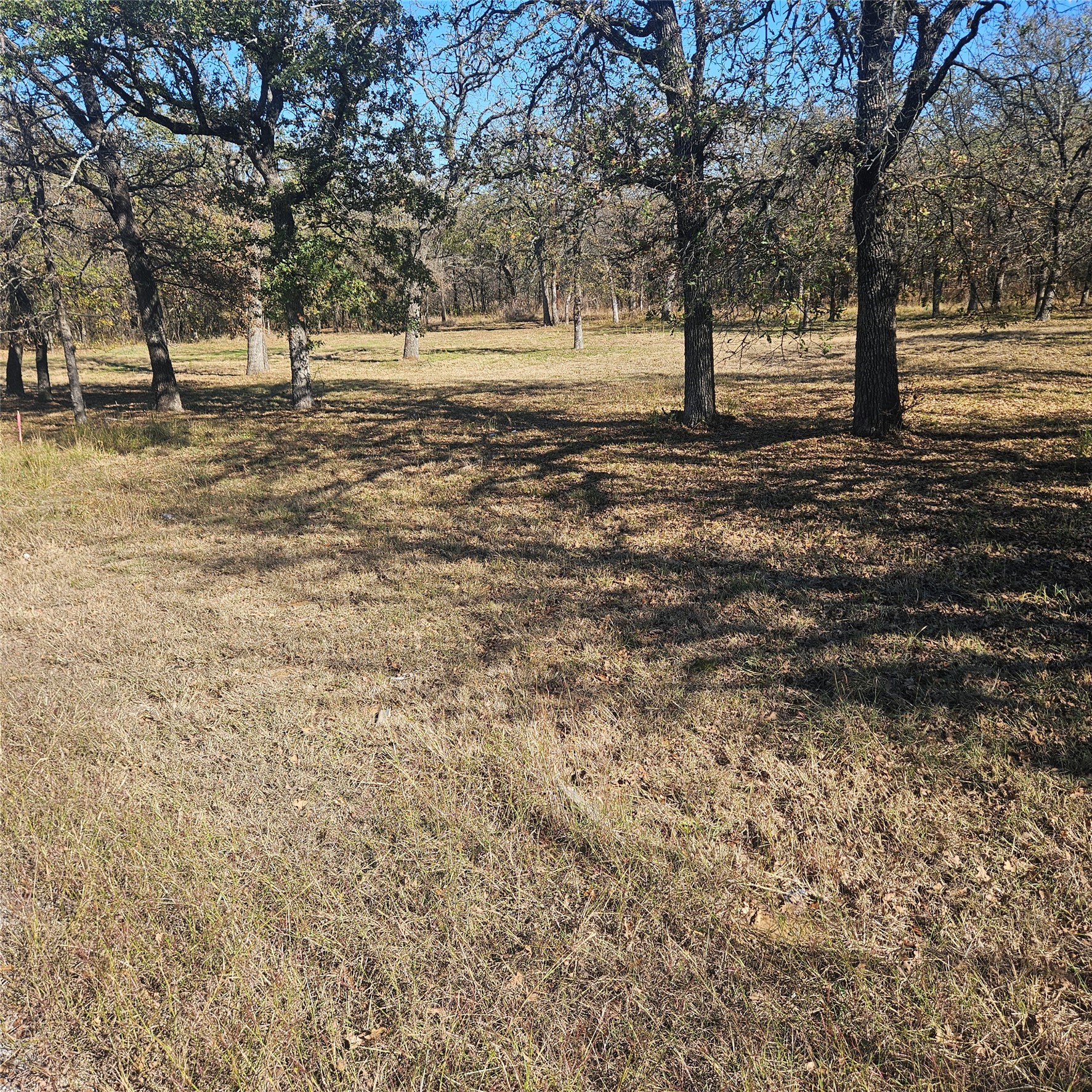 196 Johnston Lane Runaway Bay TX 76426