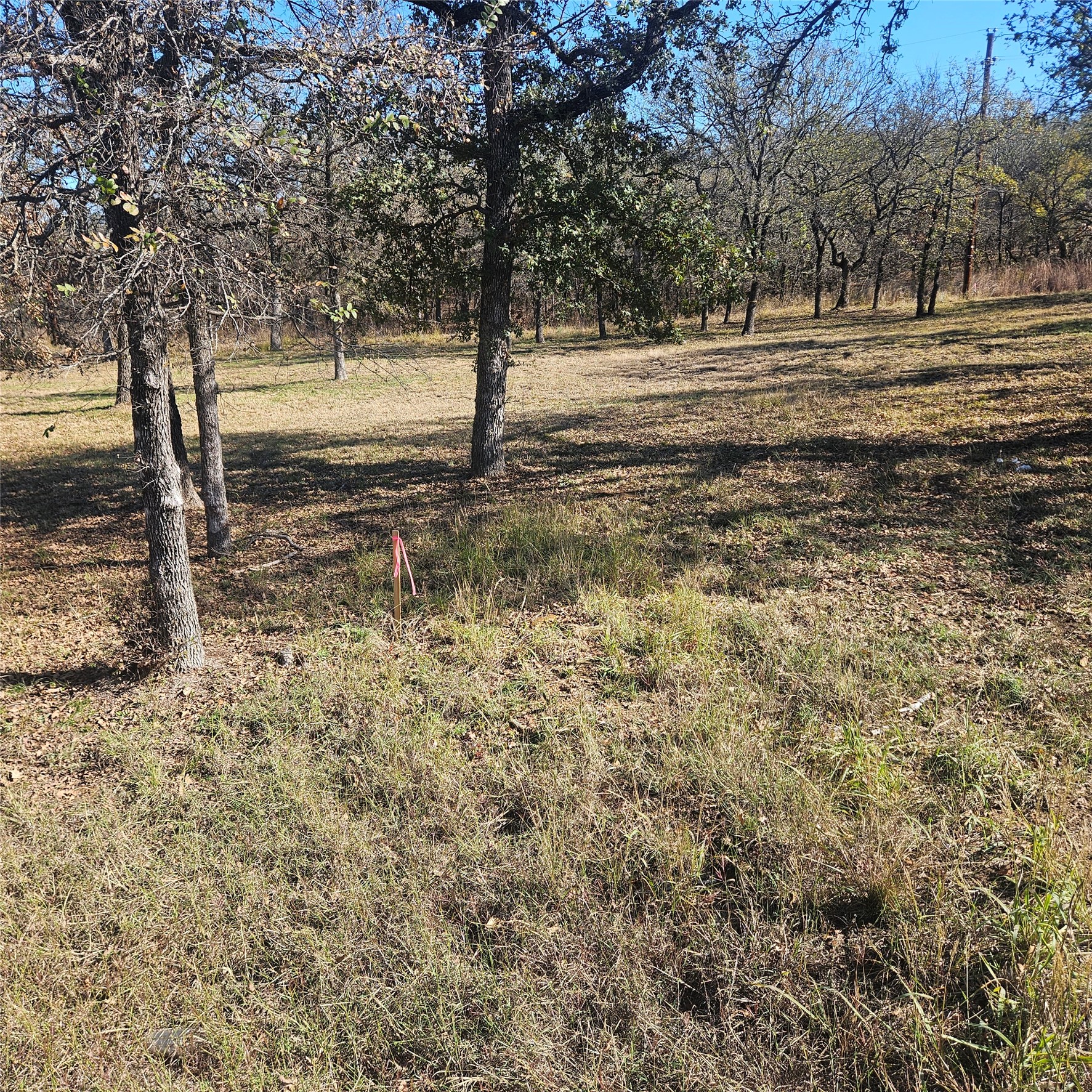 196 Johnston Lane Runaway Bay TX 76426