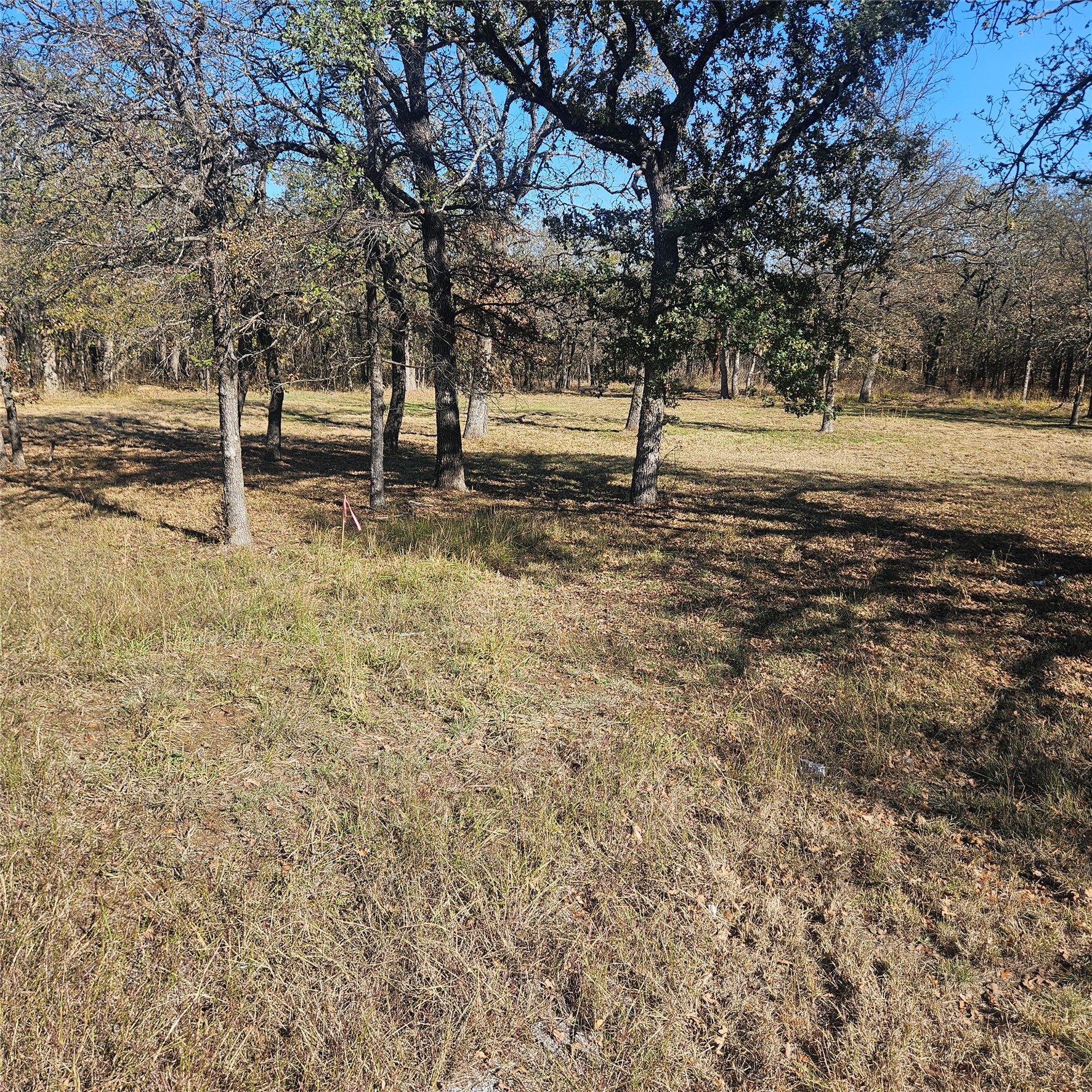 196 Johnston Lane Runaway Bay TX 76426