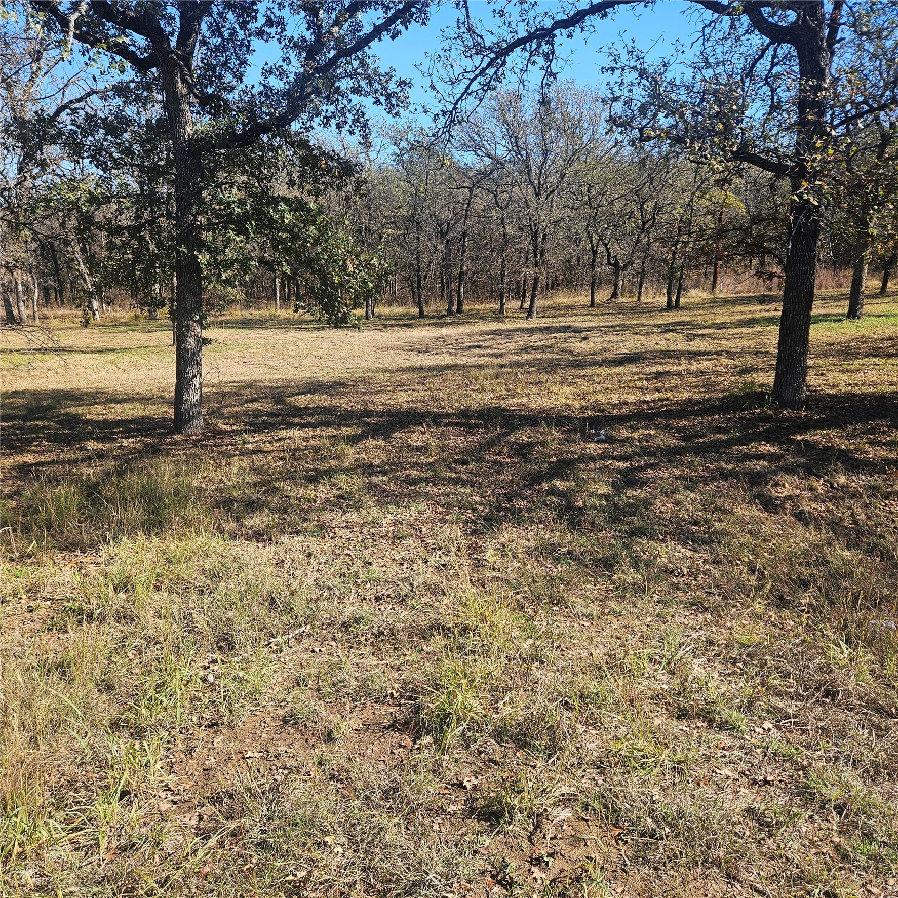 196 Johnston Lane Runaway Bay TX 76426