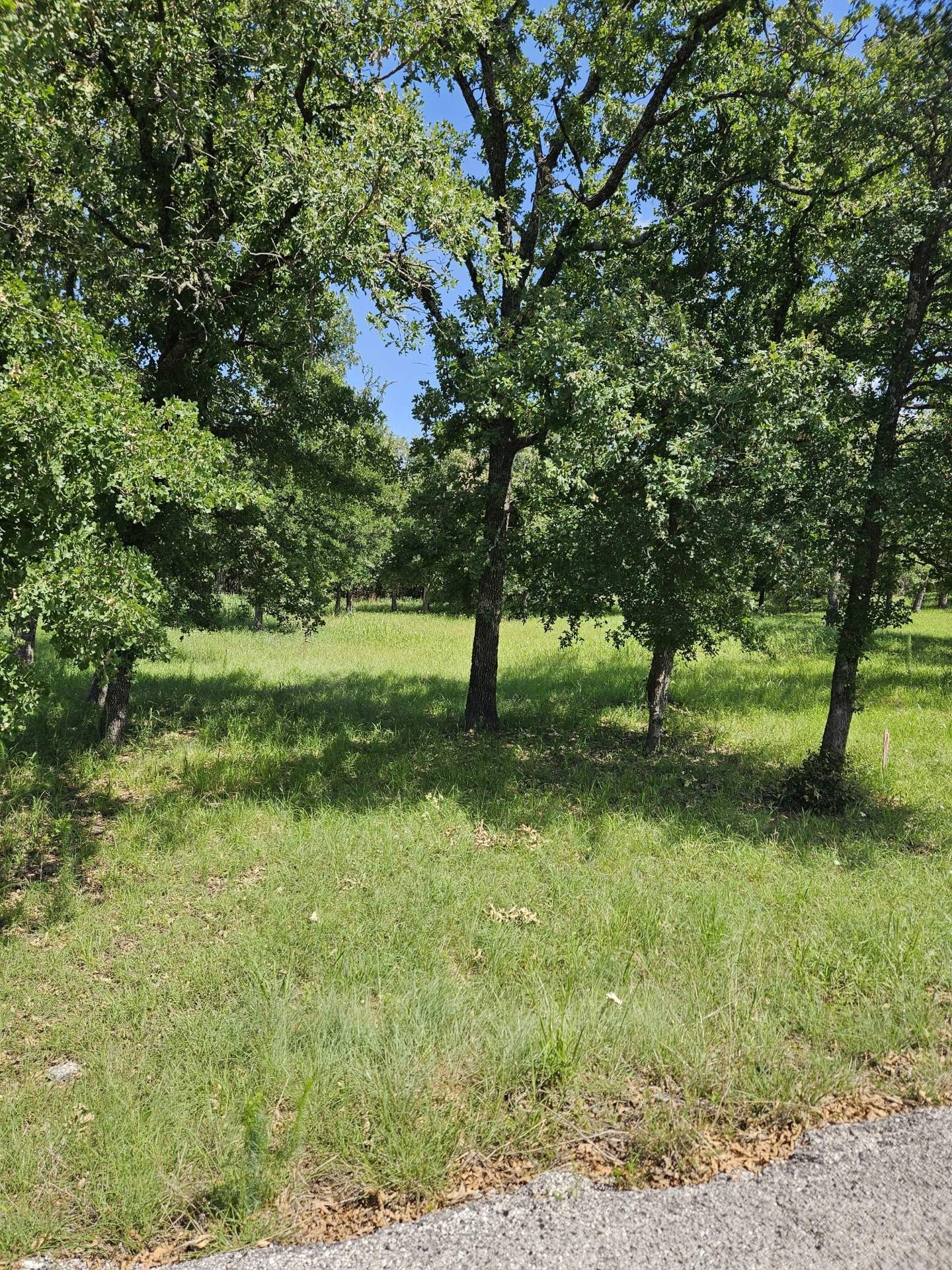 196 Johnston Lane Runaway Bay TX 76426