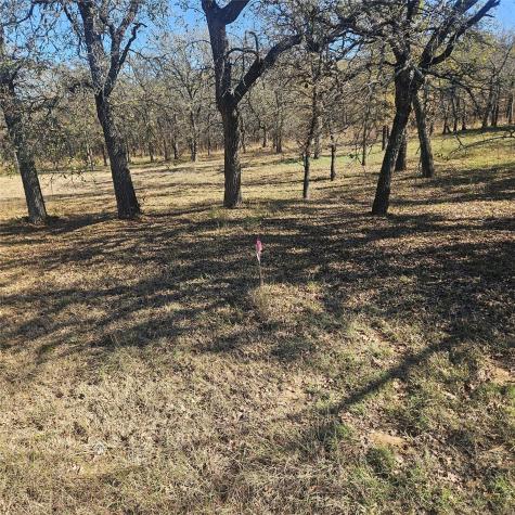 196 Johnston Lane Runaway Bay TX 76426