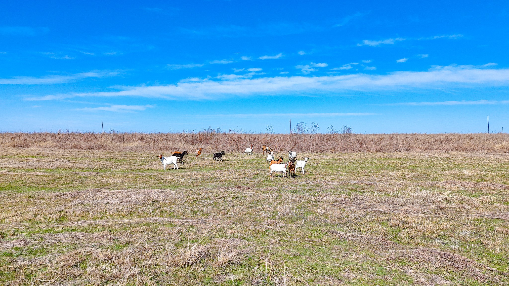 Lot 22 NW Private Road 1270a Corsicana TX 75110
