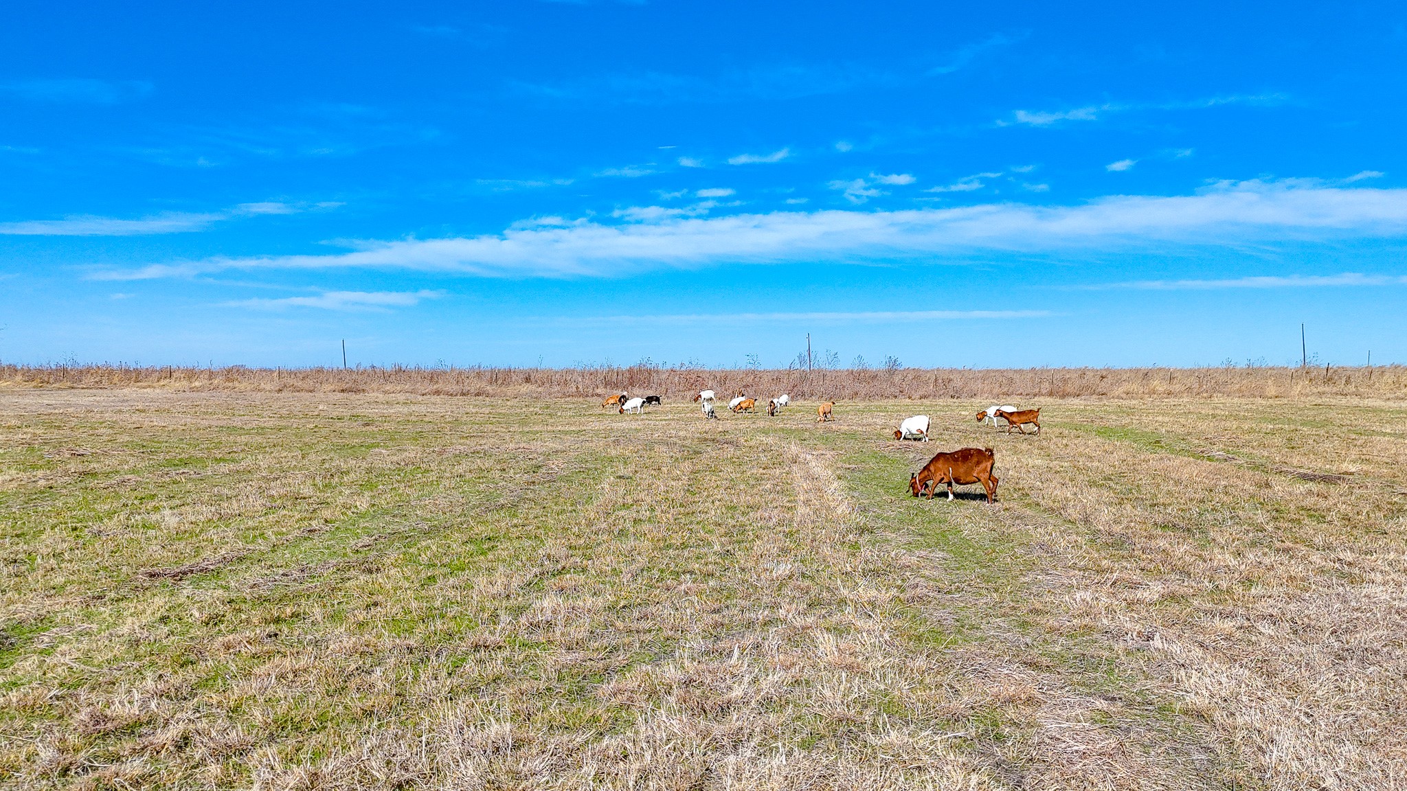 Lot 22 NW Private Road 1270a Corsicana TX 75110
