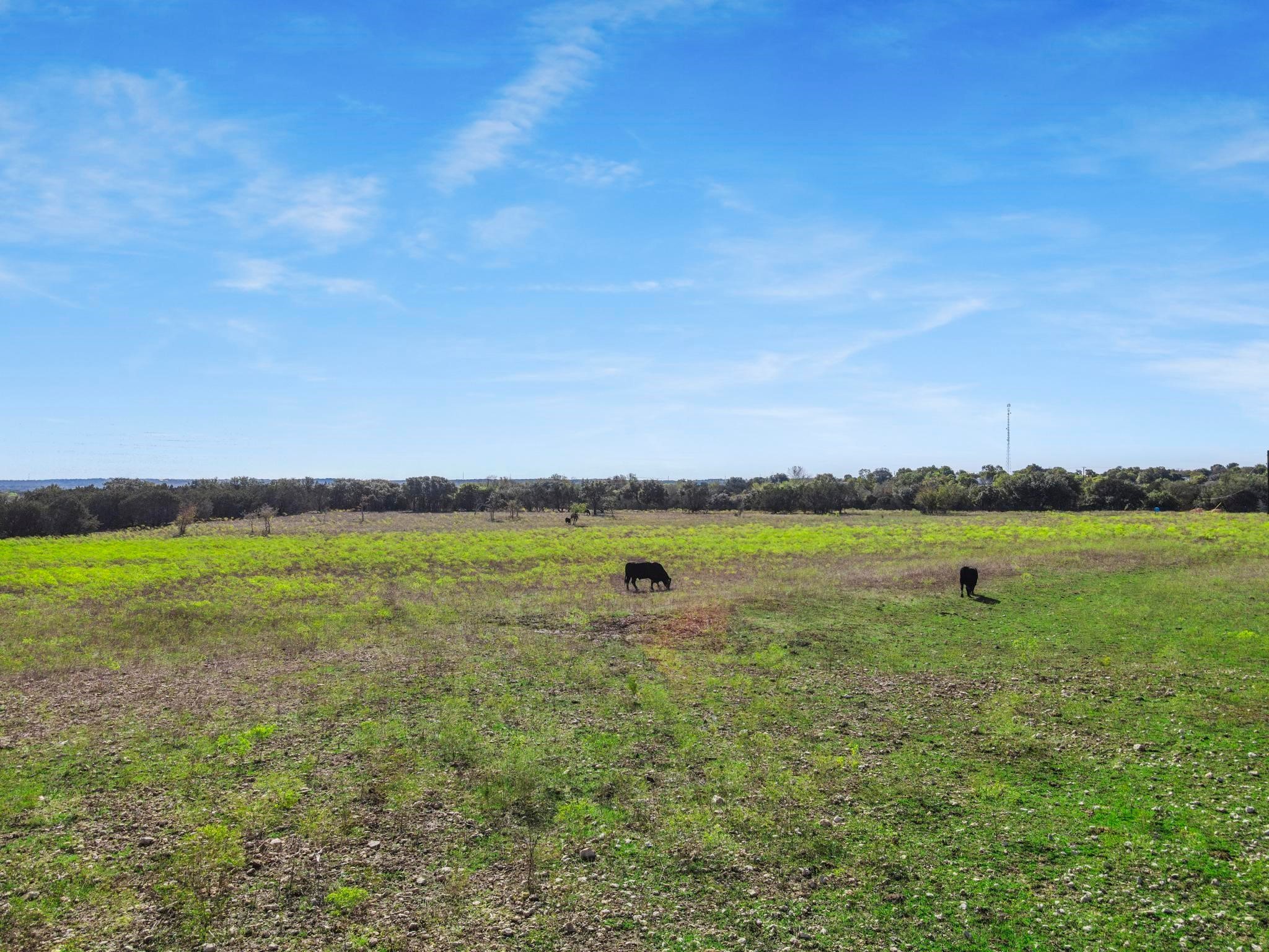 110 Tiffany Court Azle TX 76008