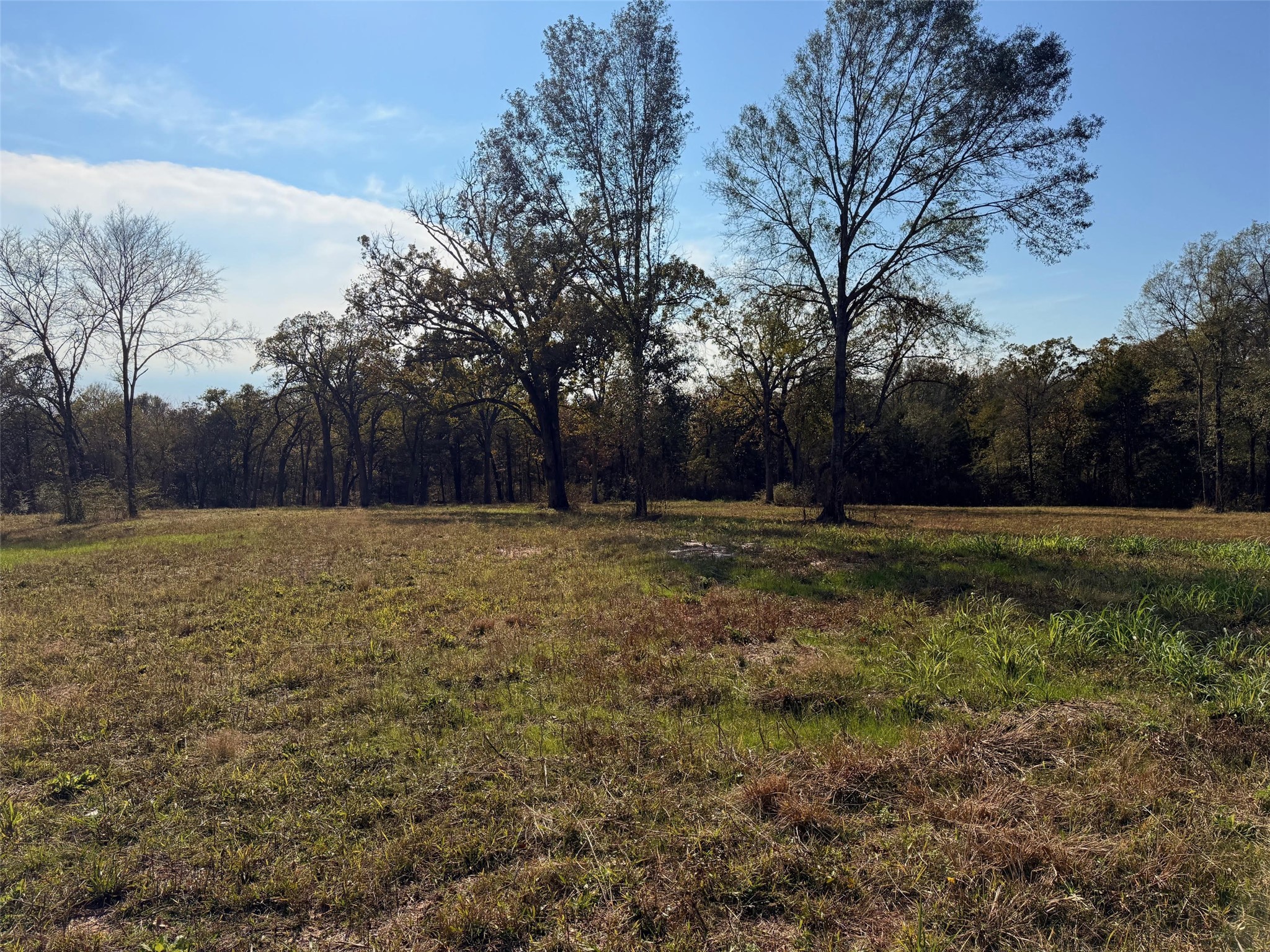 527 Us Highway 175 Eustace TX 75763
