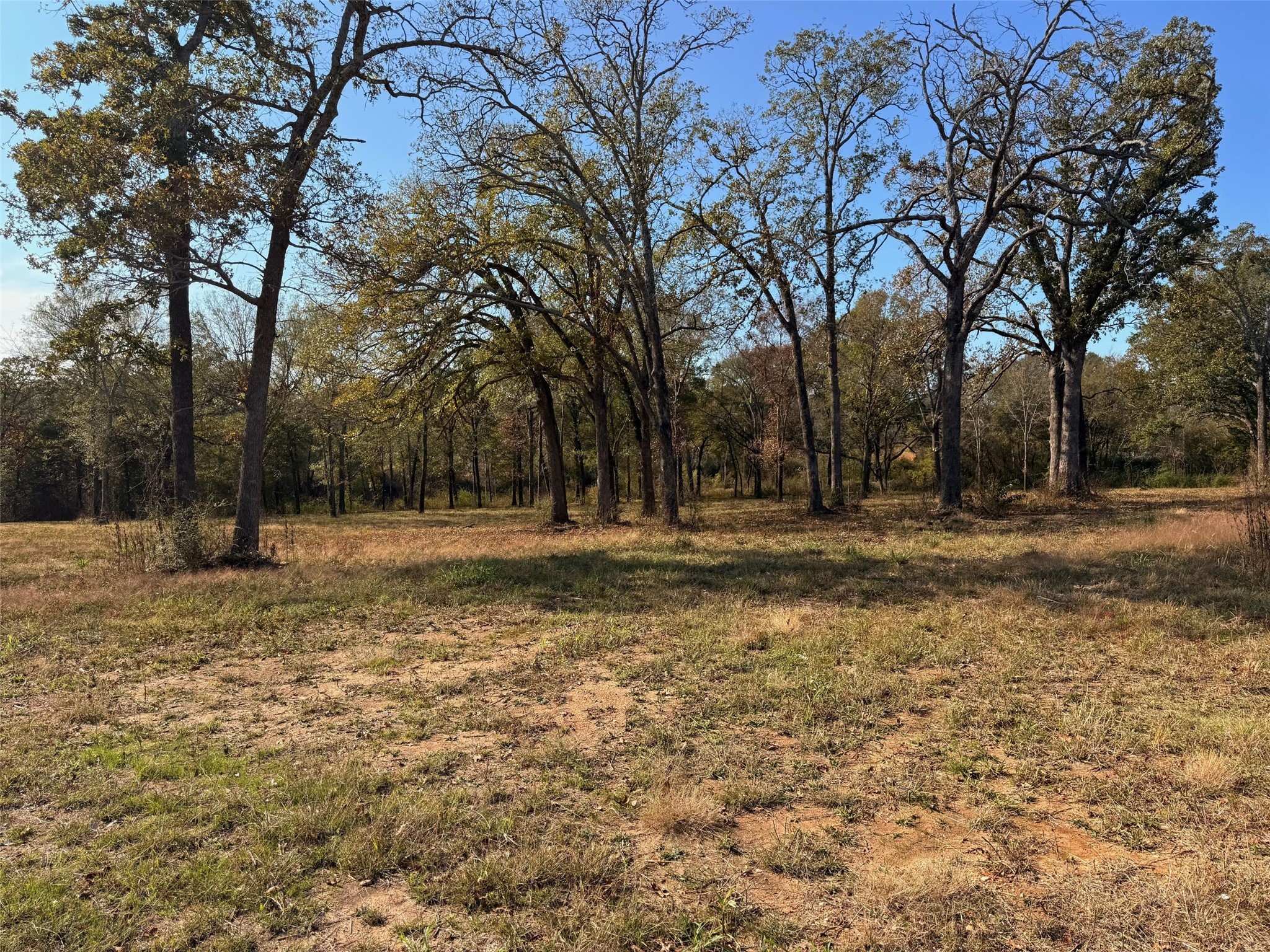 527 Us Highway 175 Eustace TX 75763