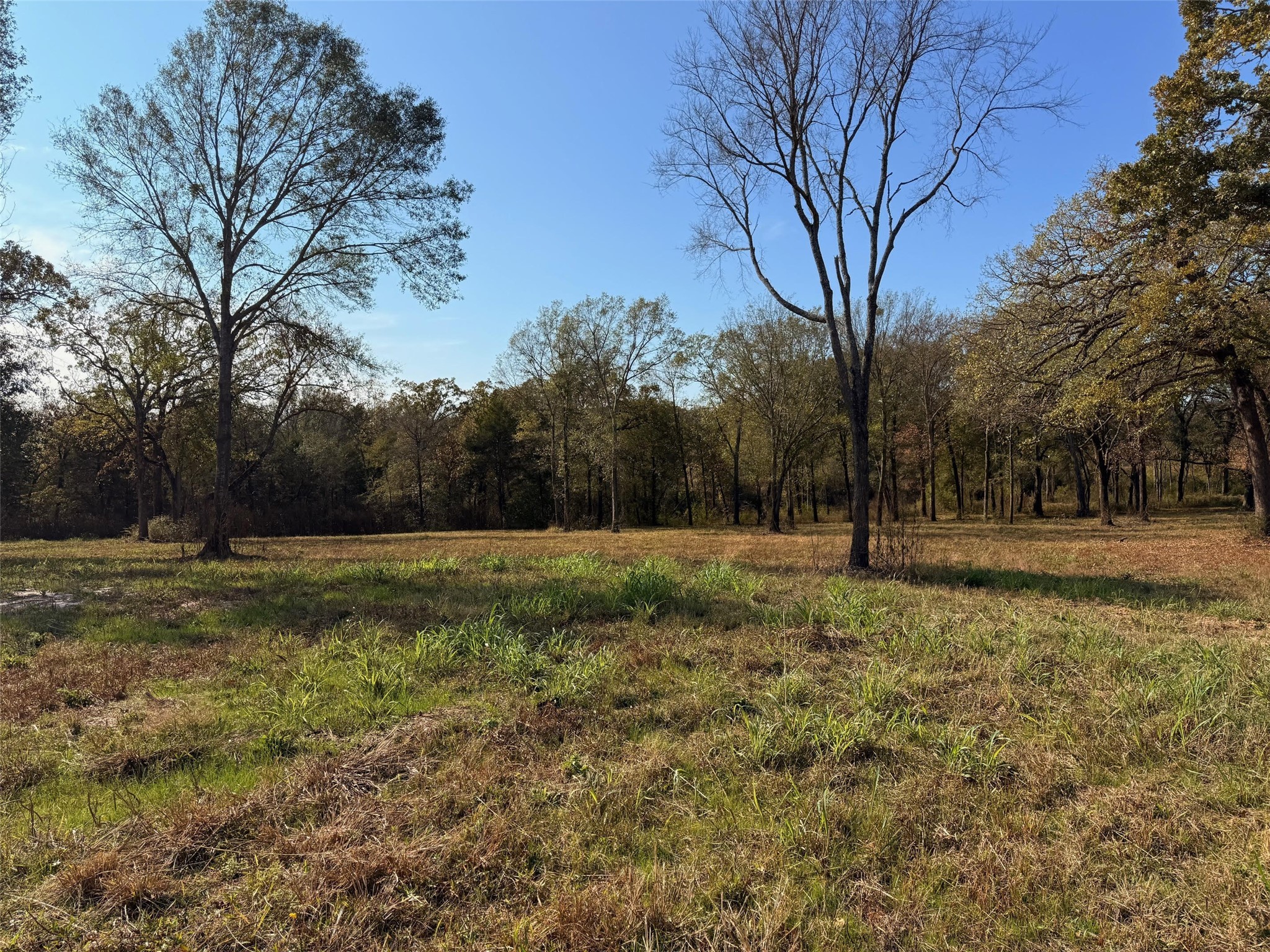 527 Us Highway 175 Eustace TX 75763