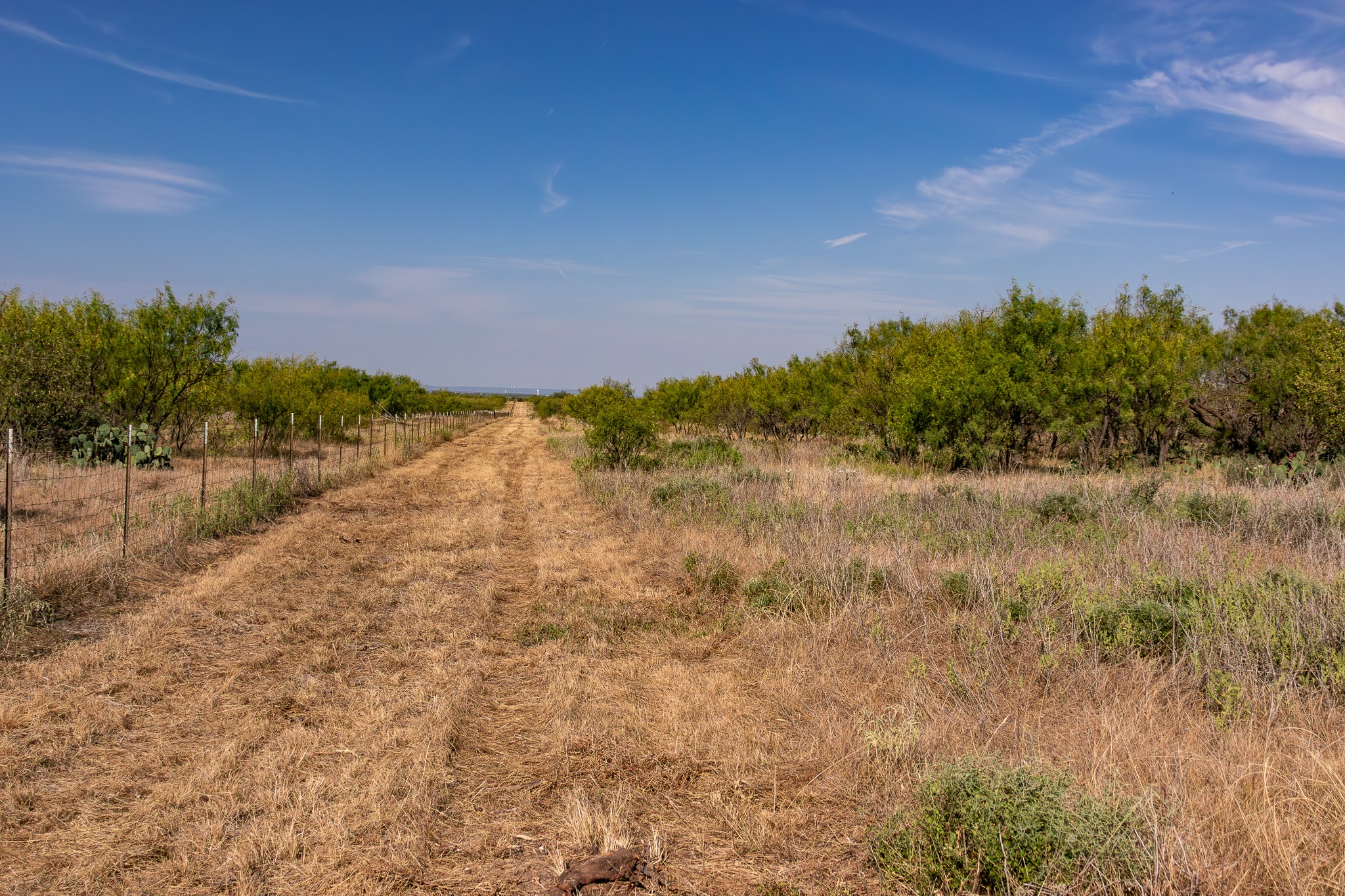 Tbd County Road 242 Clyde TX 79510