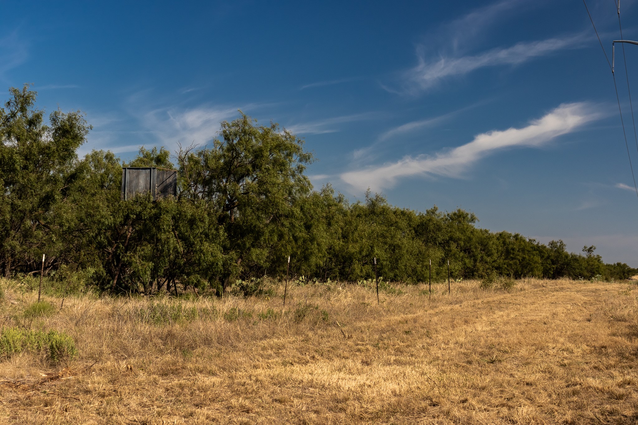 Tbd County Road 242 Clyde TX 79510