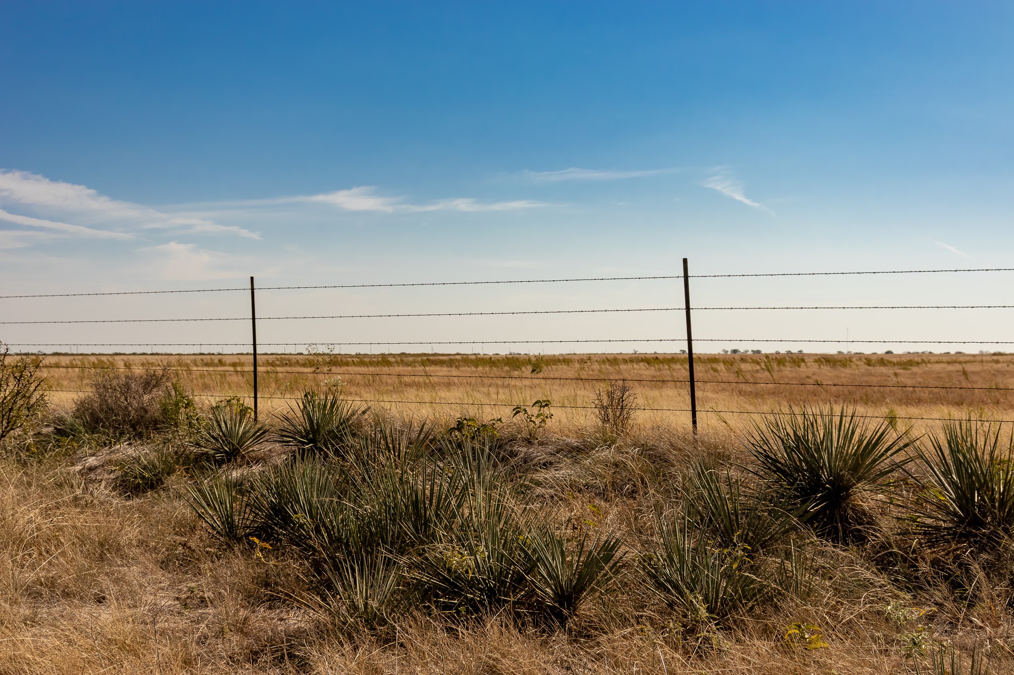 Tbd County Road 242 Clyde TX 79510