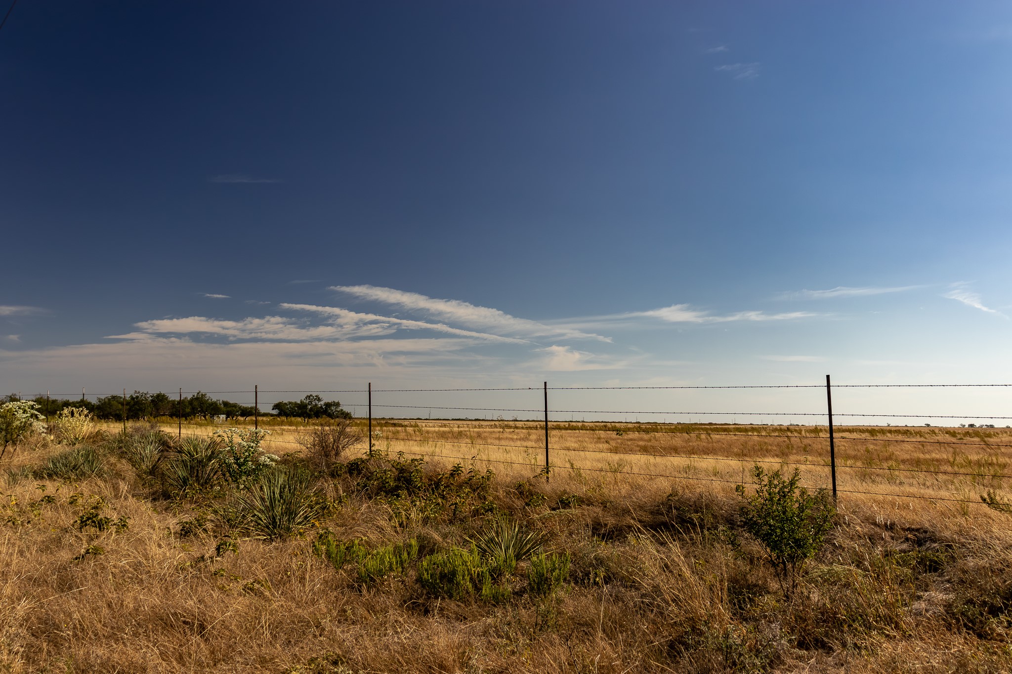 Tbd County Road 242 Clyde TX 79510