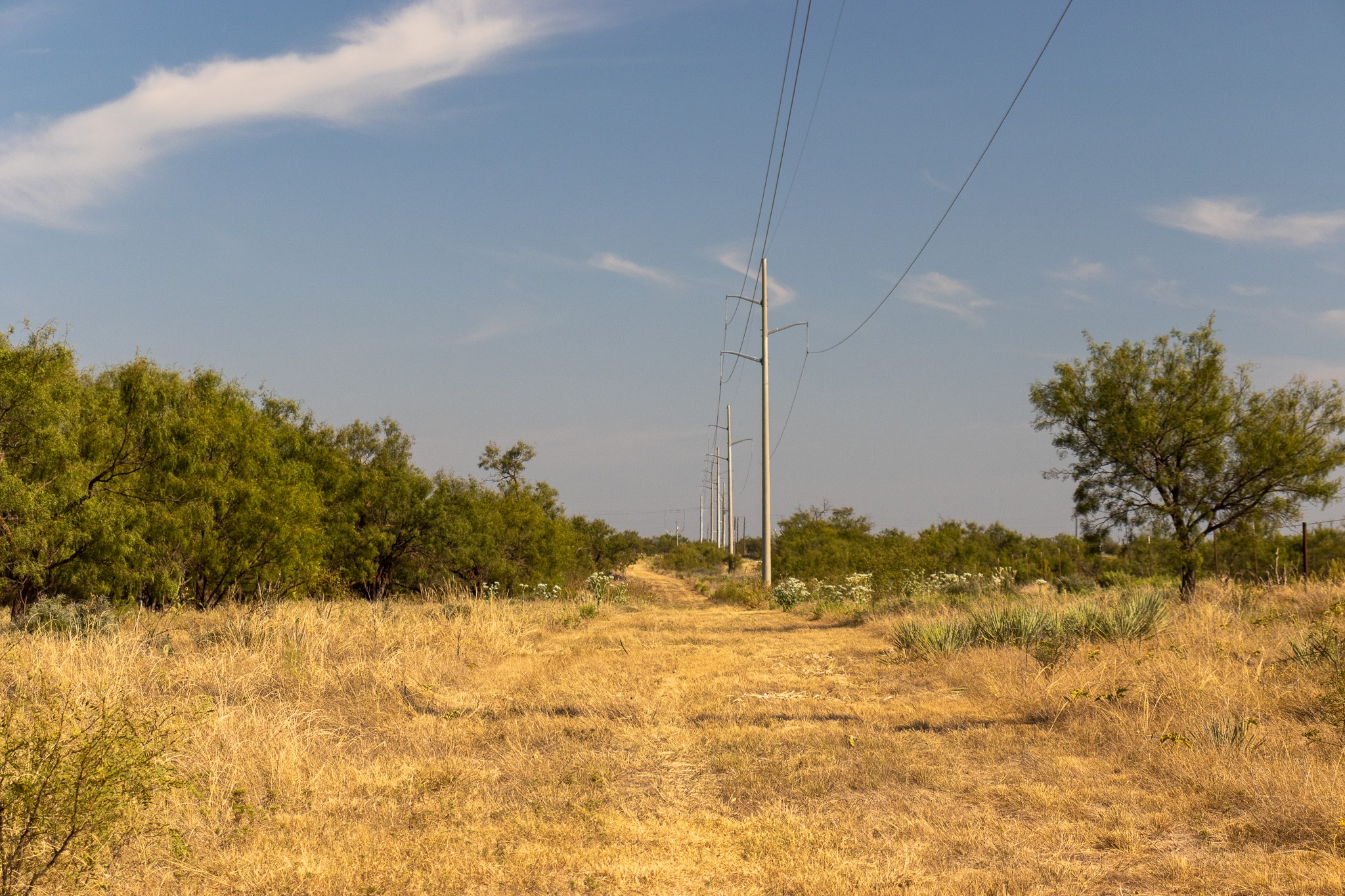 Tbd County Road 242 Clyde TX 79510
