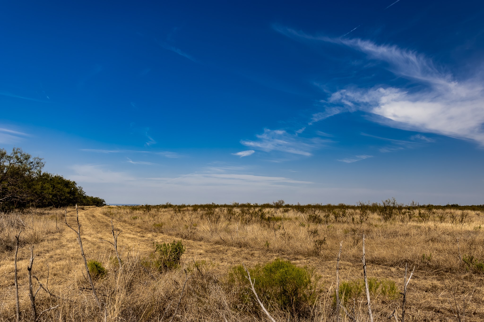 Tbd County Road 242 Clyde TX 79510