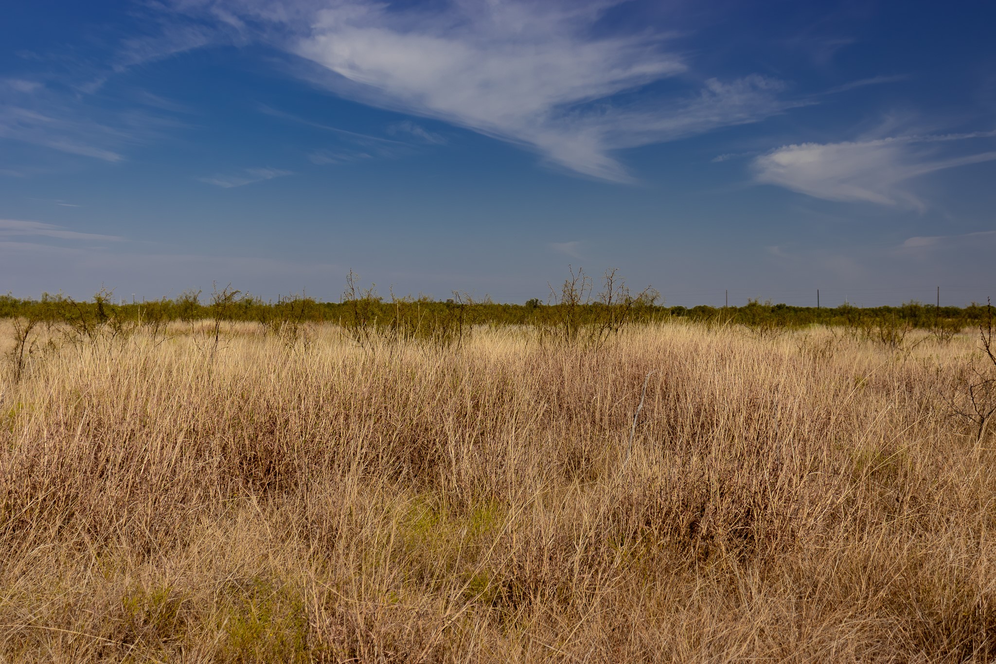 Tbd County Road 242 Clyde TX 79510