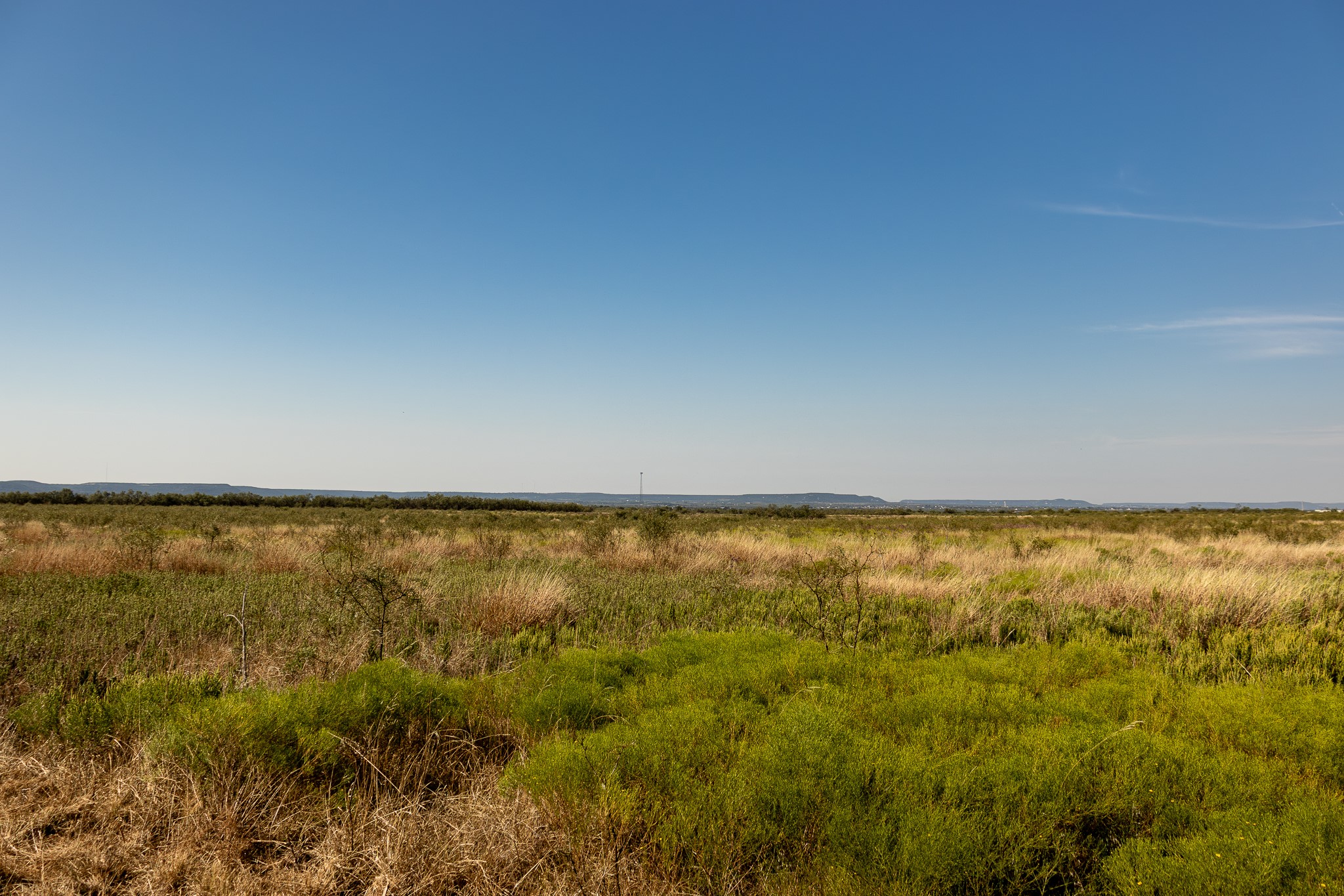 Tbd County Road 242 Clyde TX 79510