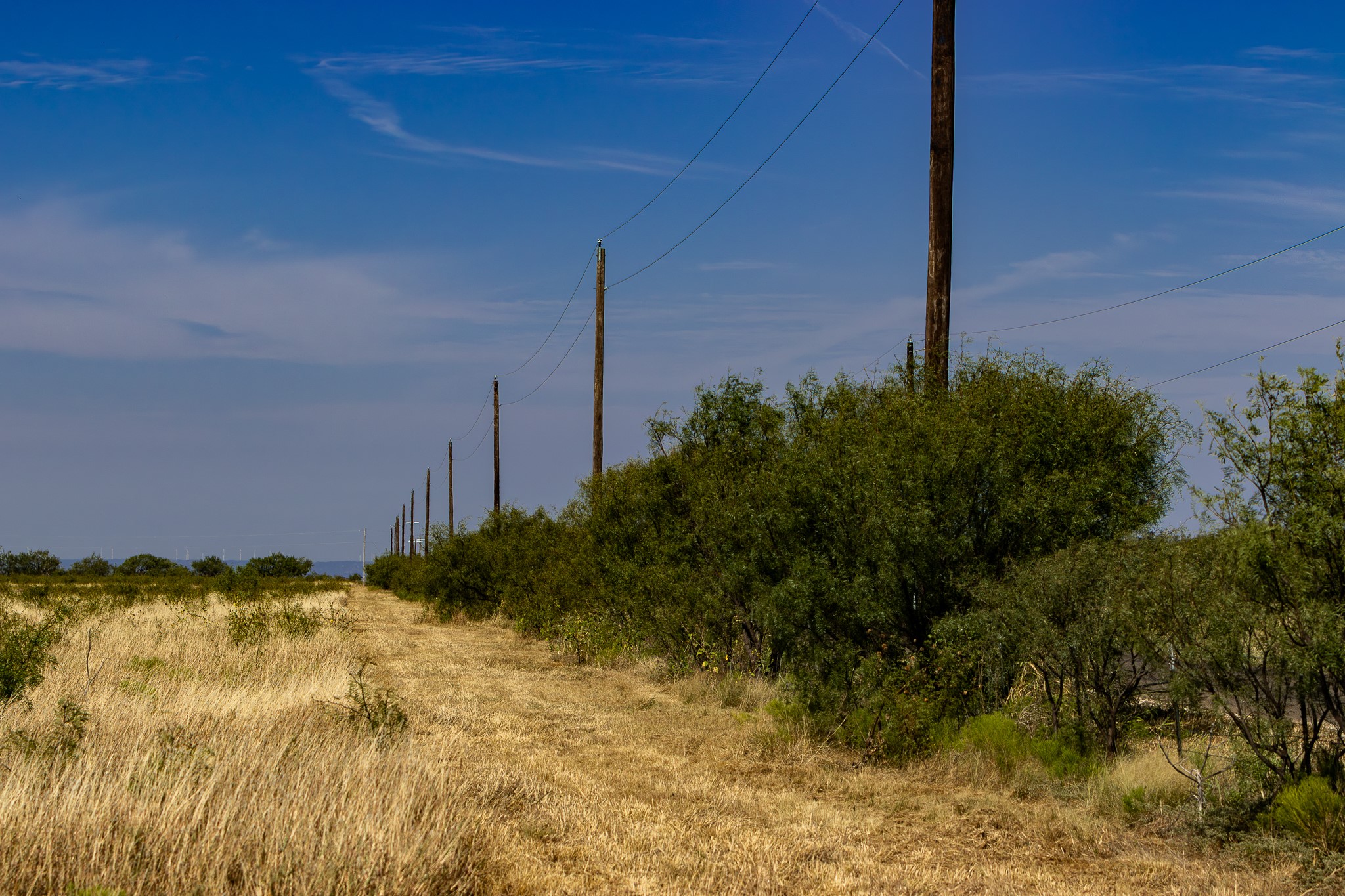 Tbd County Road 242 Clyde TX 79510
